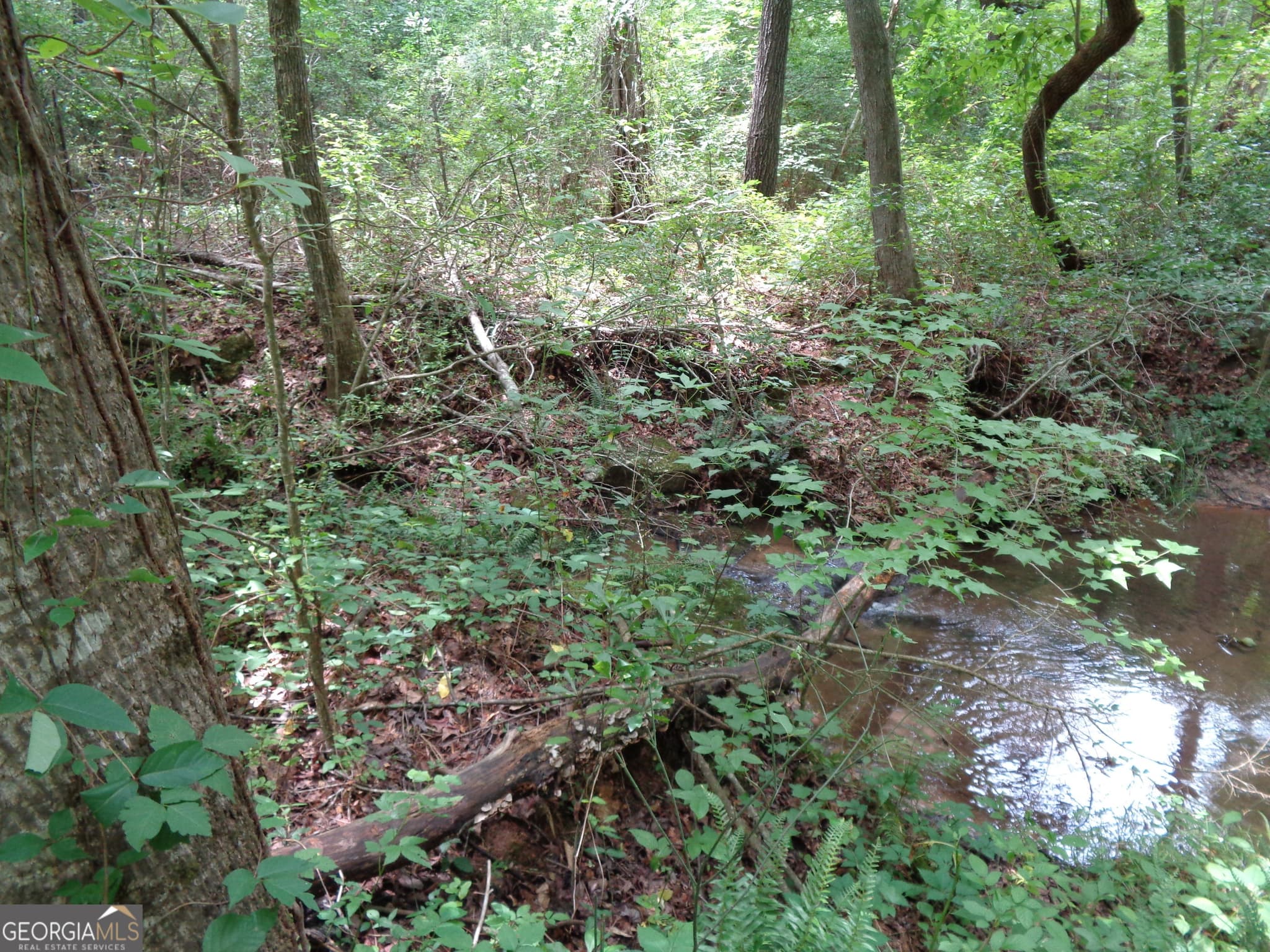 agriculture for sale at 2411 Kesler Road, Carnesville, GA 30521 — photo 8