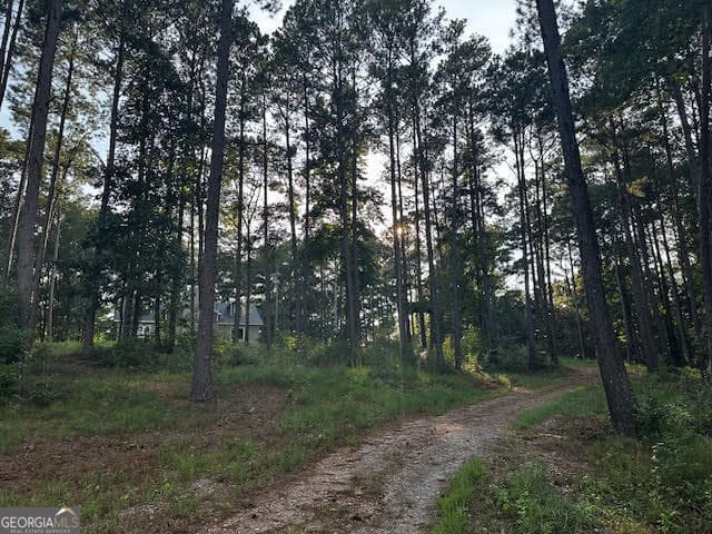 229 Morgan Road, Ila, GA 30647 — most recent listing photo
