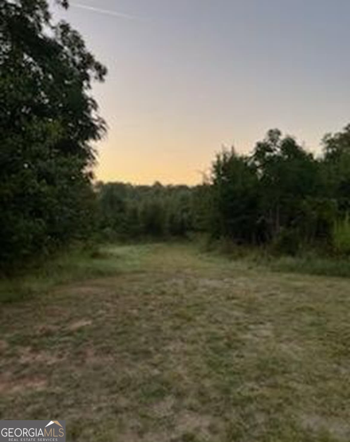 agriculture for sale at 600 Hillview Road TRACT 4, Hampton, GA 30228 — photo 2
