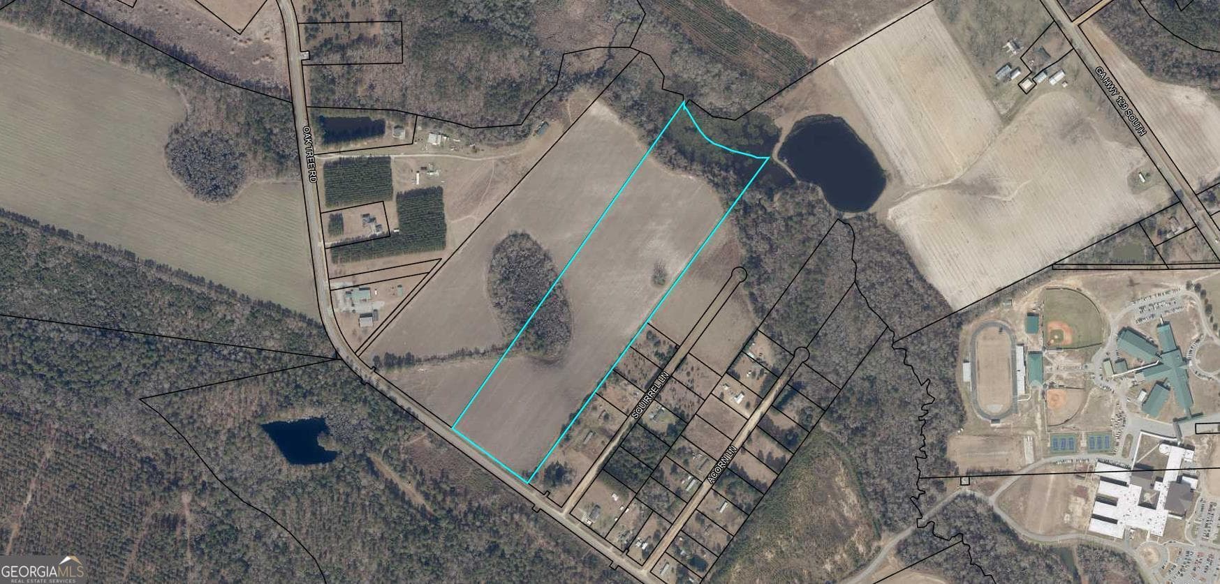 agriculture for sale at 0 Oak Tree Road (31.62 AC), Metter, GA 30439 — photo 2