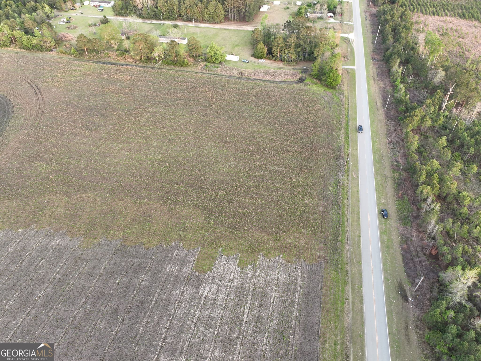 agriculture for sale at 0 Oak Tree Road (31.62 AC), Metter, GA 30439 — photo 7