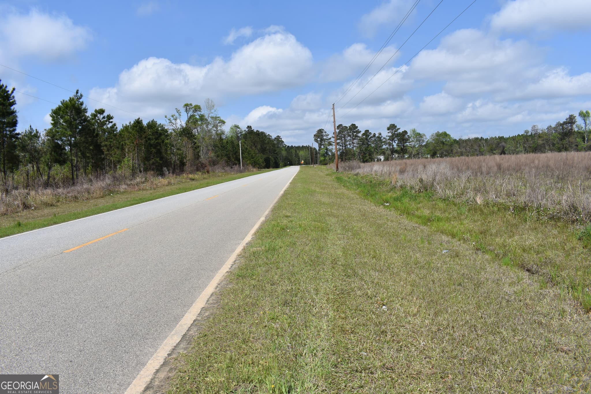 agriculture for sale at 0 Oak Tree Road (31.62 AC), Metter, GA 30439 — photo 3