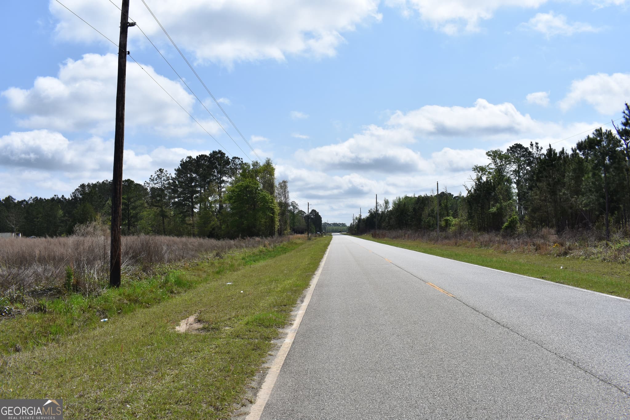 agriculture for sale at 0 Oak Tree Road (31.62 AC), Metter, GA 30439 — photo 5