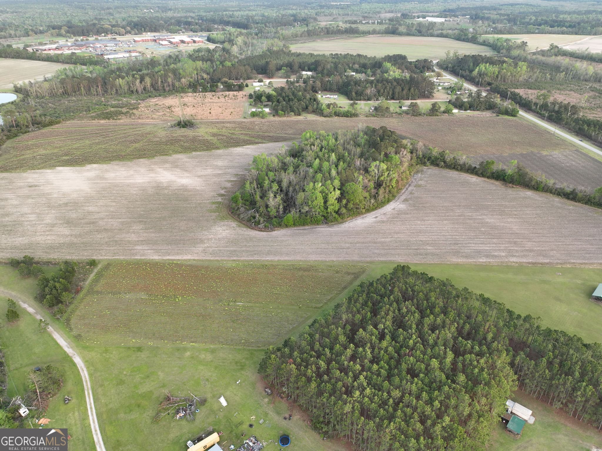 agriculture for sale at 0 Oak Tree Road (31.62 AC), Metter, GA 30439 — photo 10
