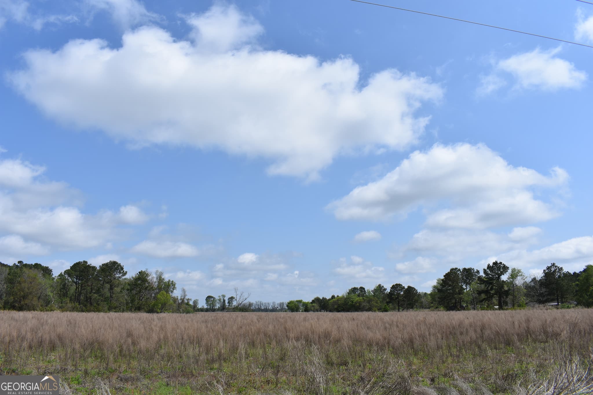 agriculture for sale at 0 Oak Tree Road (31.62 AC), Metter, GA 30439 — photo 4