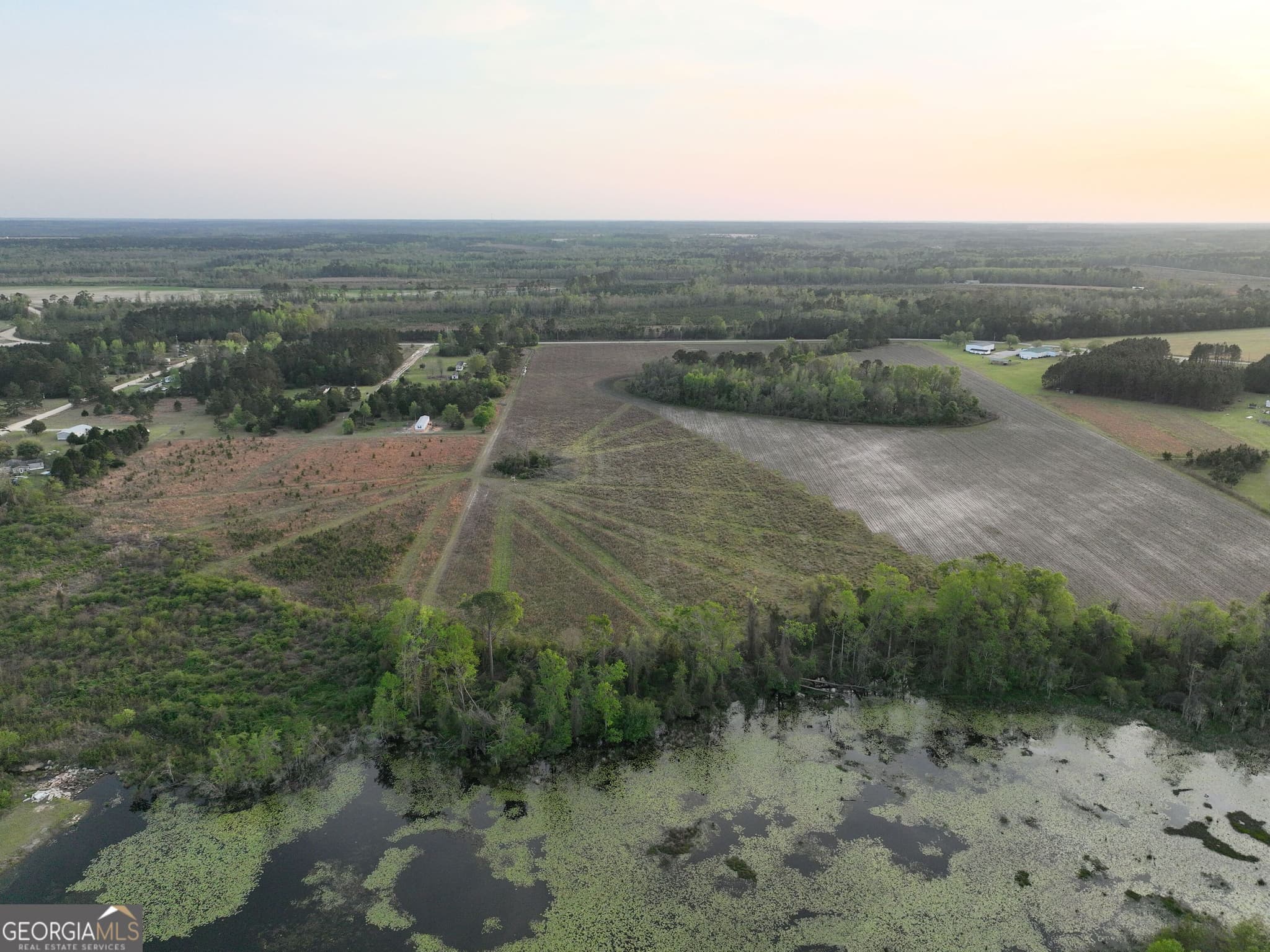 agriculture for sale at 0 Oak Tree Road (31.62 AC), Metter, GA 30439 — photo 8