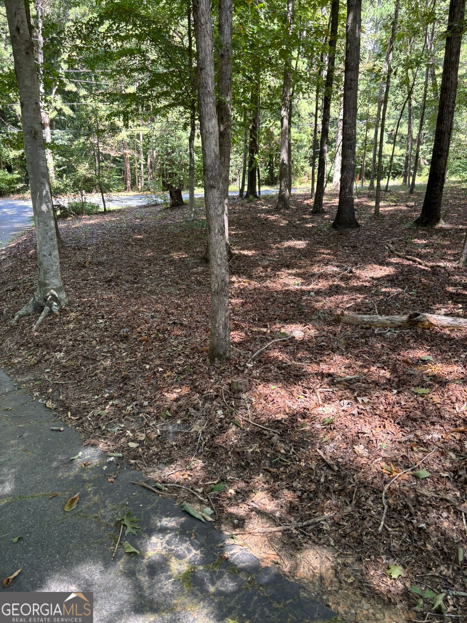 3 bedroom, 2 bathroom, 1,878 sq ft single family residence for rent at 674 Clarke Trail, Dacula, GA 30019 for $2,295 a month — photo 3