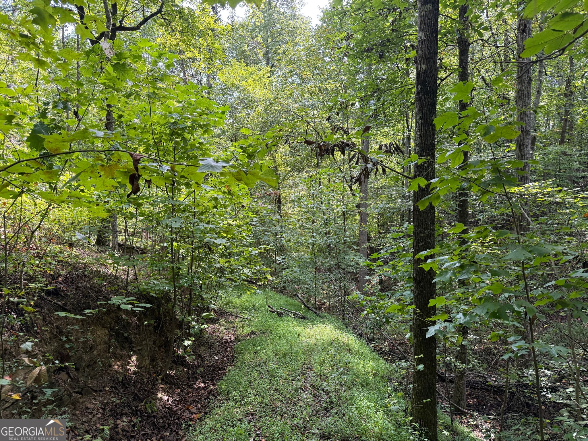 unimproved land for sale at 0 Fuller Mountain Road, Fairmount, GA 30139 — photo 2