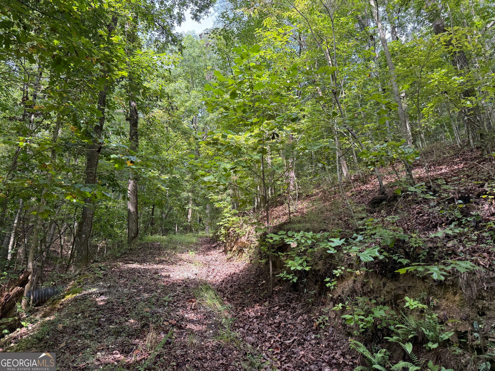unimproved land for sale at 0 Fuller Mountain Road, Fairmount, GA 30139 — photo 3