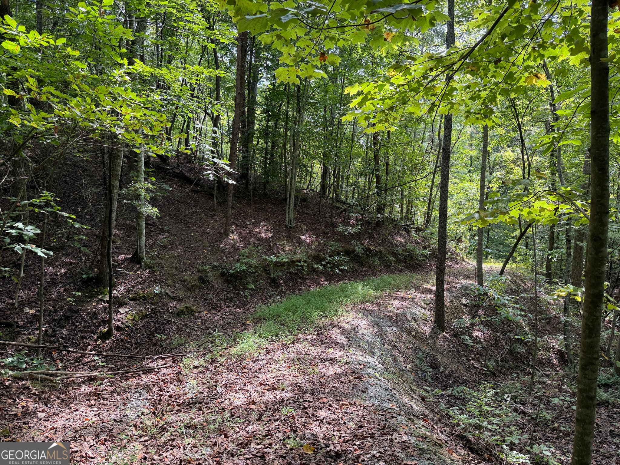 unimproved land for sale at 0 Fuller Mountain Road, Fairmount, GA 30139 — photo 1 of 14