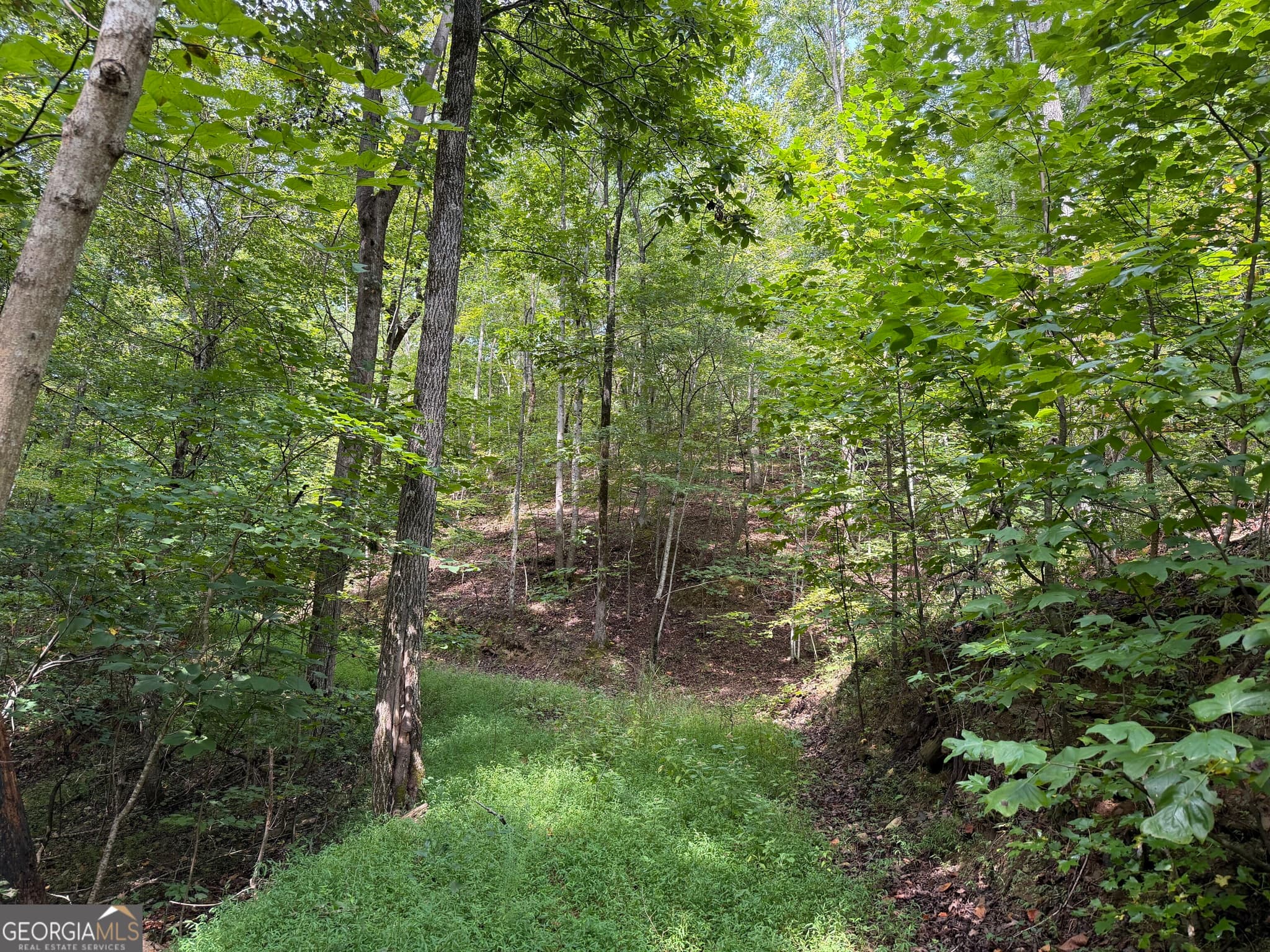 unimproved land for sale at 0 Fuller Mountain Road, Fairmount, GA 30139 — photo 5