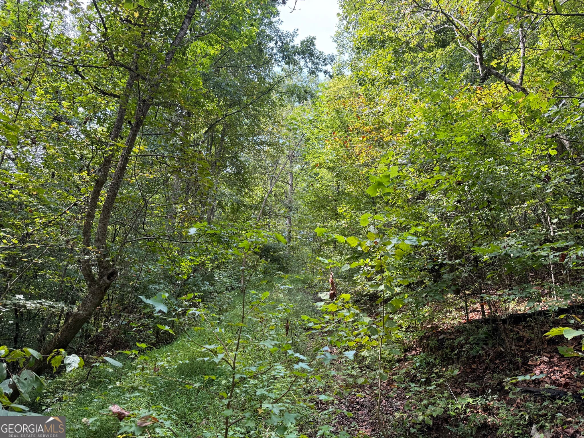 unimproved land for sale at 0 Fuller Mountain Road, Fairmount, GA 30139 — photo 9
