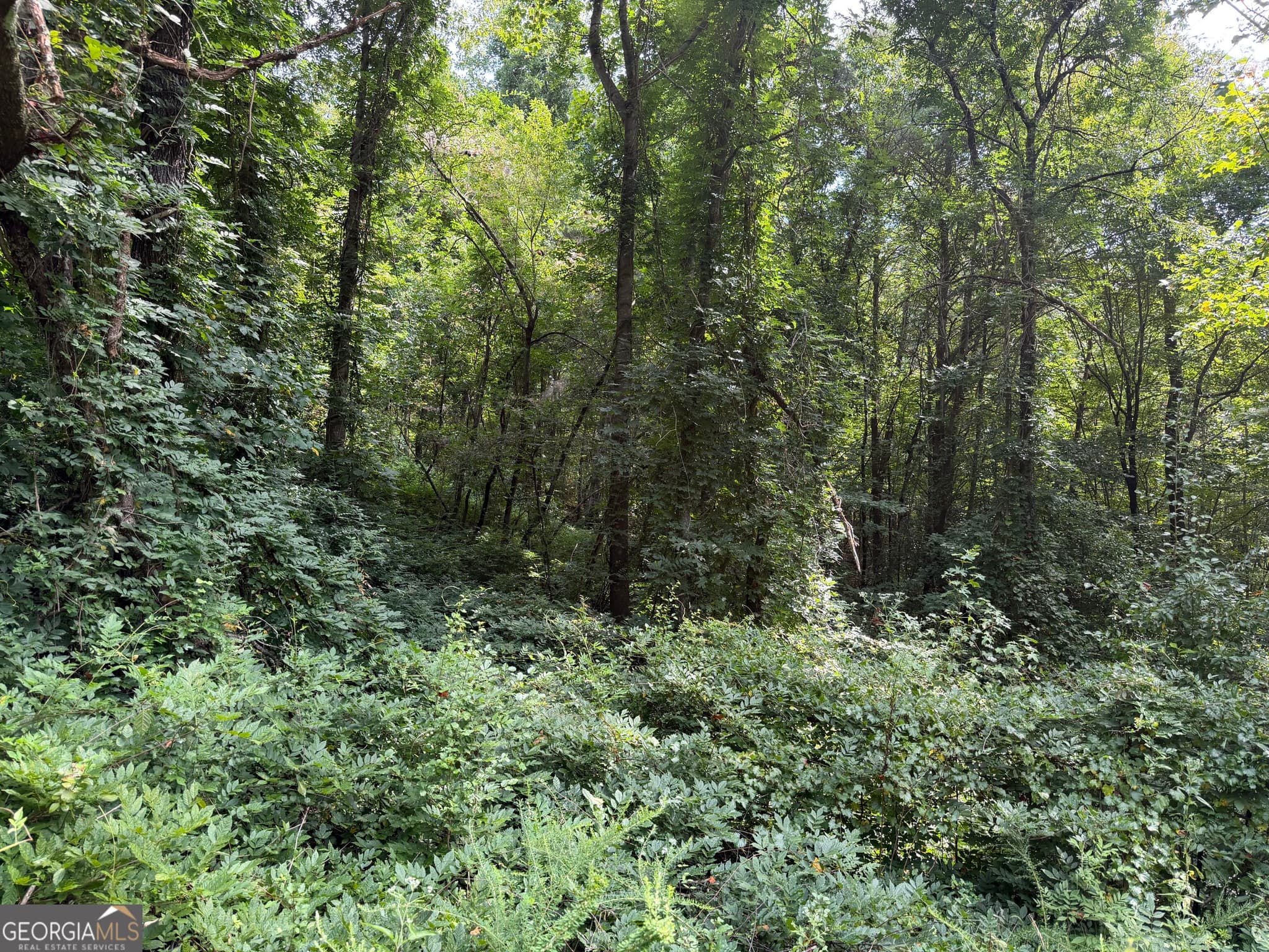 unimproved land for sale at 0 Fuller Mountain Road, Fairmount, GA 30139 — photo 10