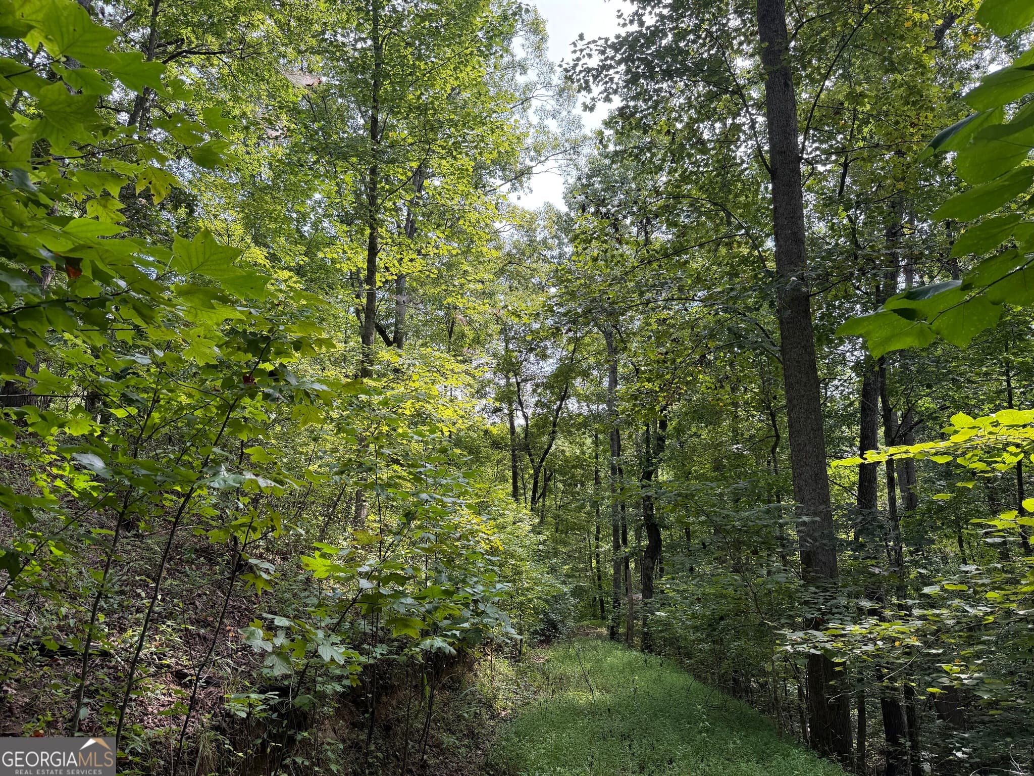 unimproved land for sale at 0 Fuller Mountain Road, Fairmount, GA 30139 — photo 4