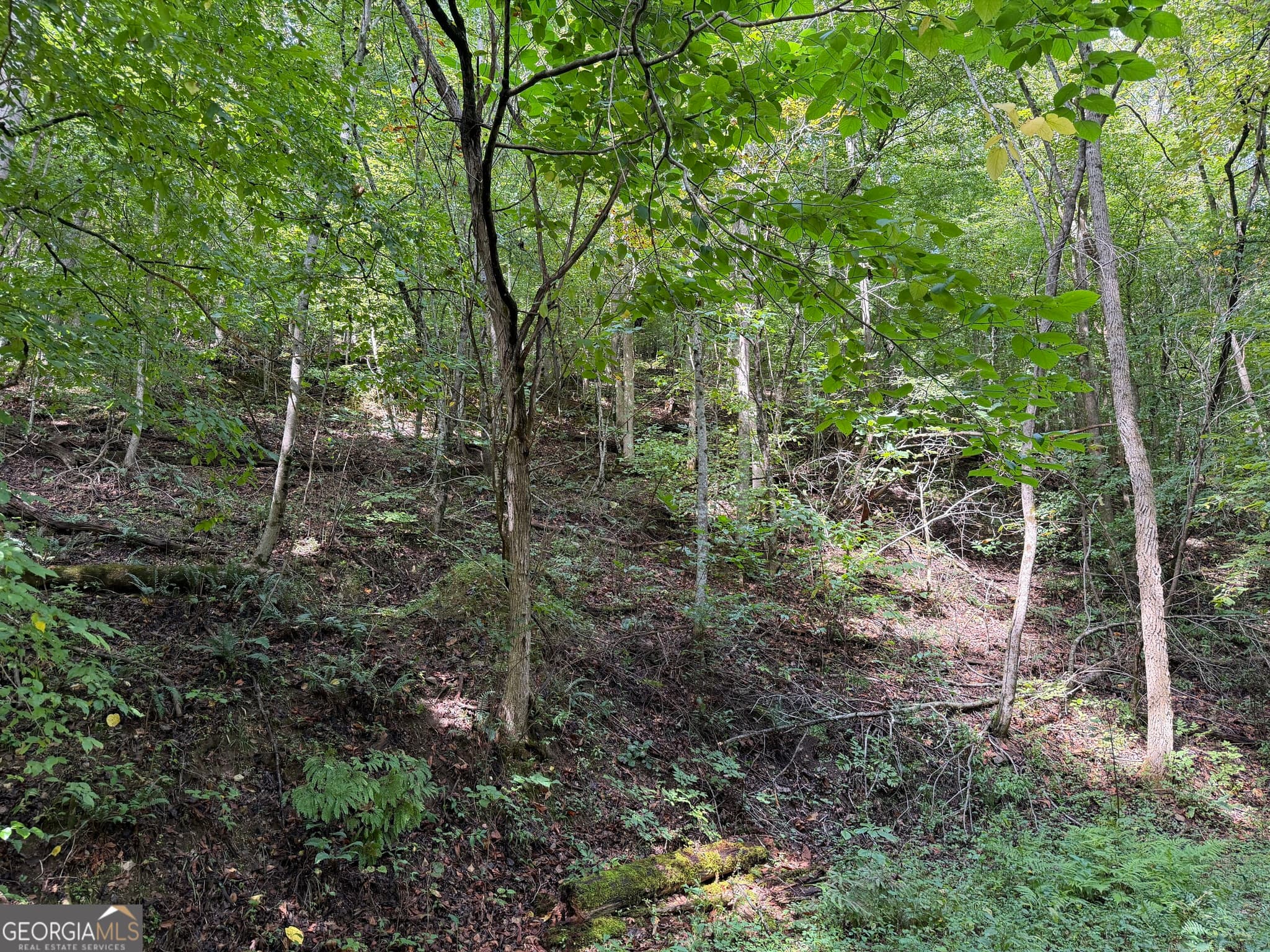 unimproved land for sale at 0 Fuller Mountain Road, Fairmount, GA 30139 — photo 8