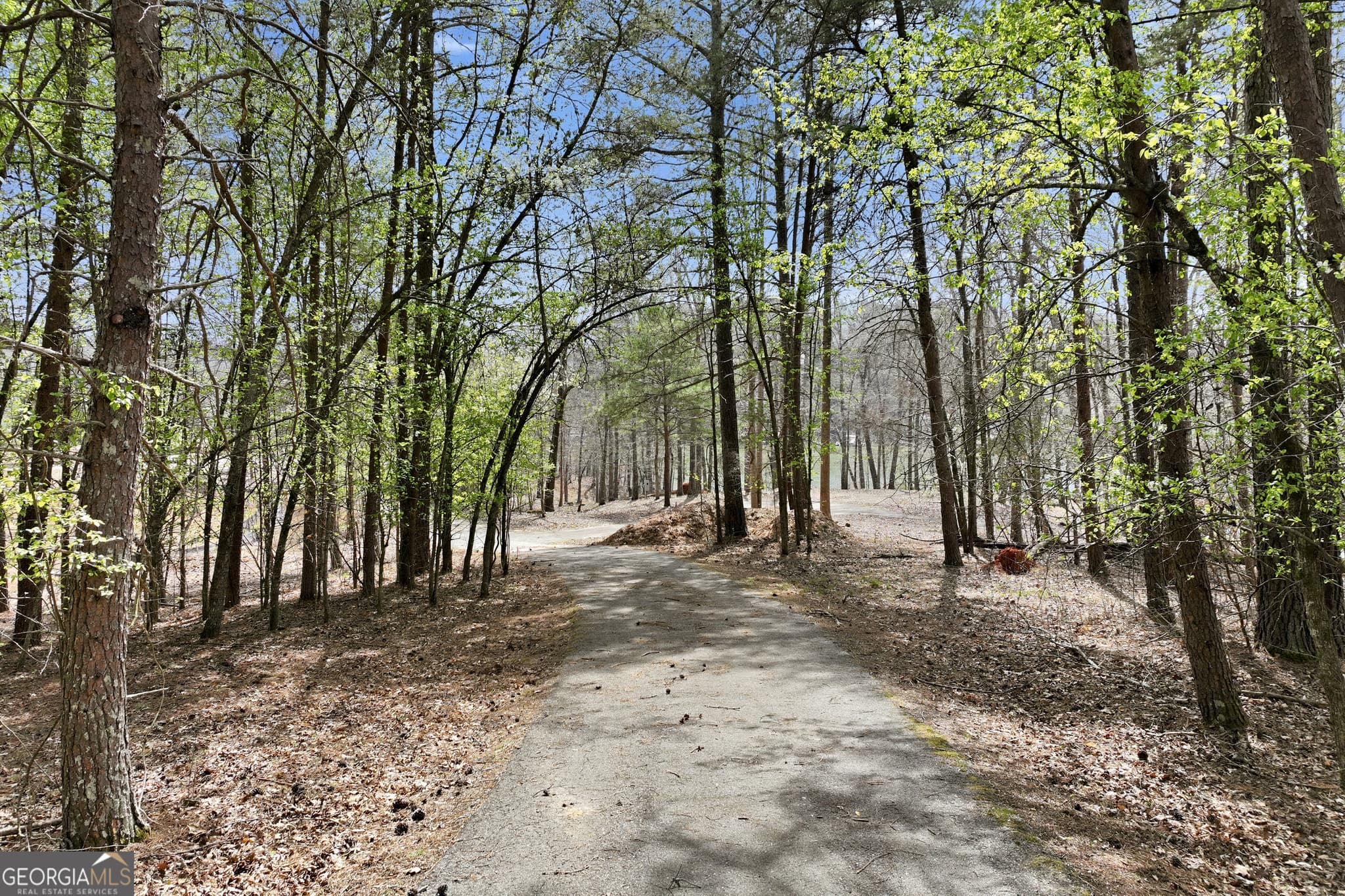 residential lot for sale at 6271 Grant Harbor Drive LOT 7, Gainesville, GA 30506 — photo 9