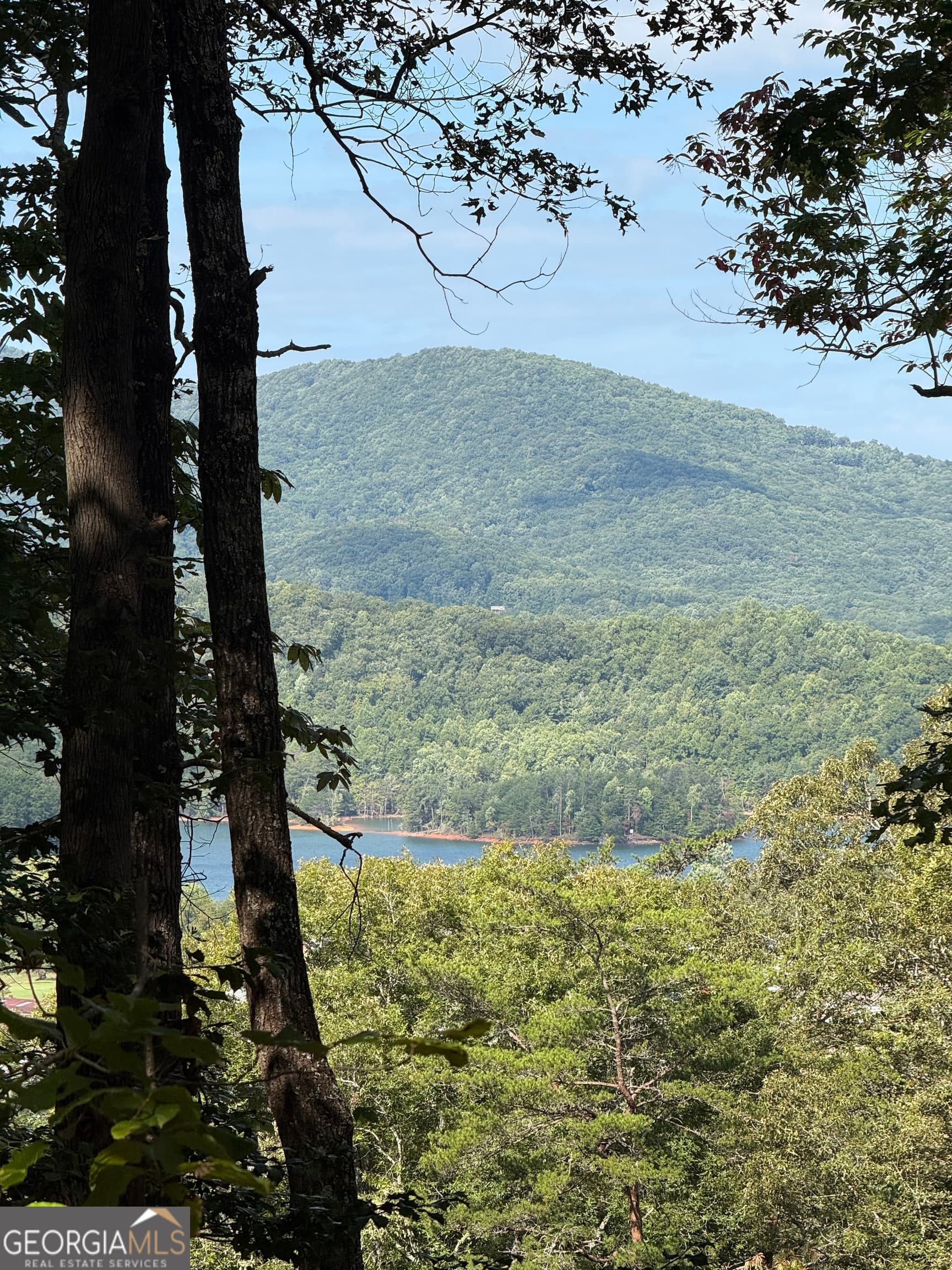 3 bedroom, 3.5 bathroom, 1,578 sq ft single family residence for sale at LOT 5 Whiskey Mountain Estates, Hiawassee, GA 30546 — photo 5