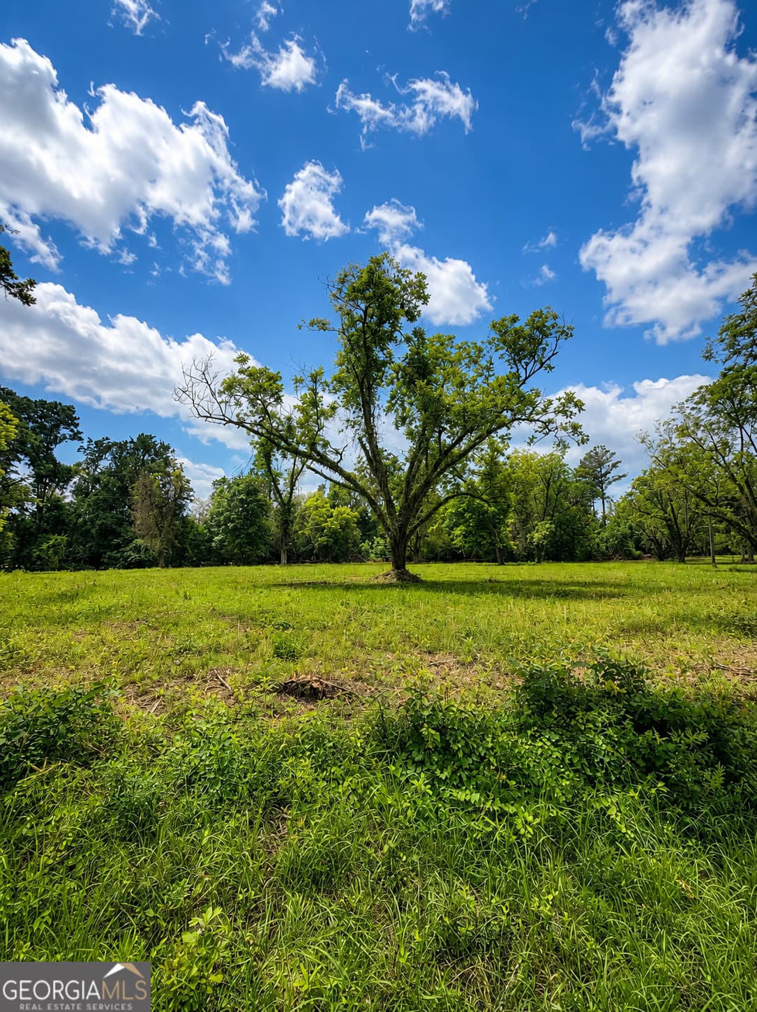 residential lot for sale at 0 Salem Road 3, Pine Mountain, GA 31822 — photo 3