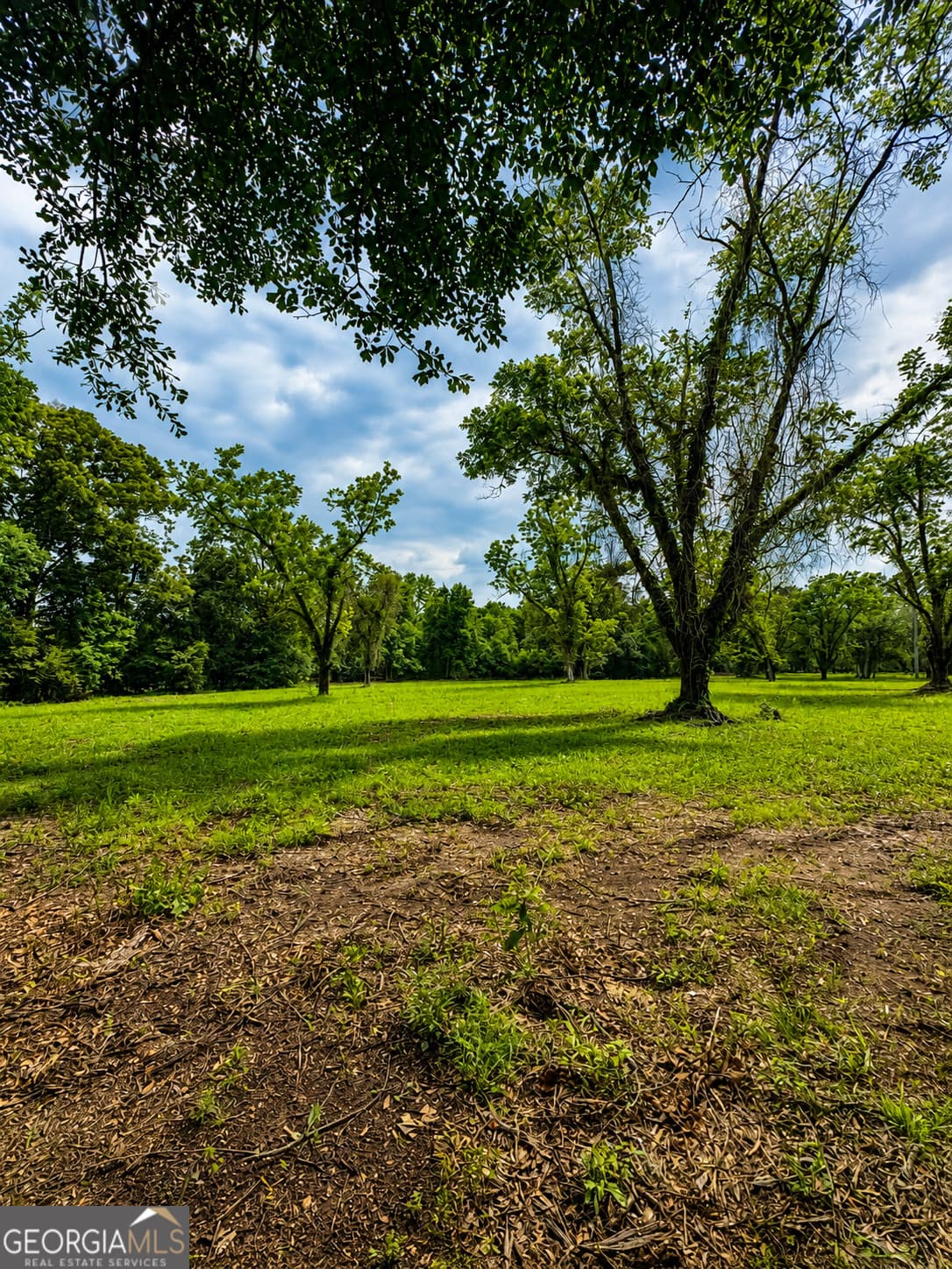 residential lot for sale at 0 Salem Road 3, Pine Mountain, GA 31822 — photo 1 of 5