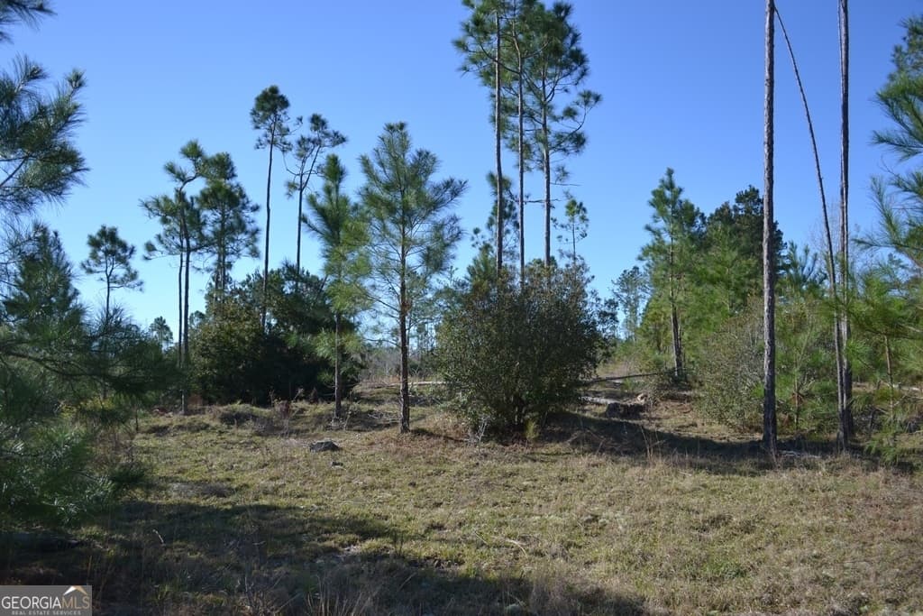 agriculture sold at 0 Williamson Drive, Hazlehurst, GA 31539
