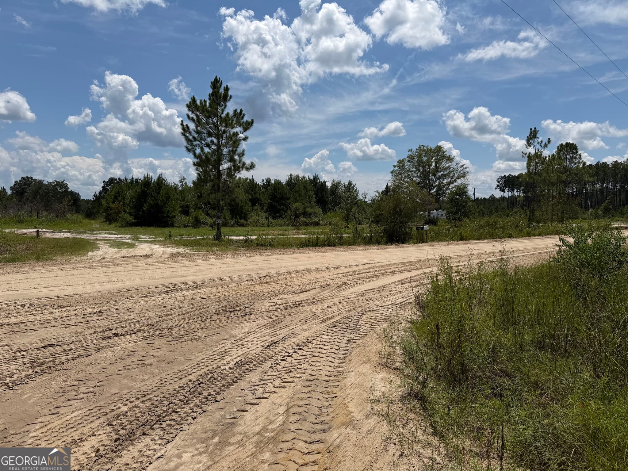 unimproved land for sale at 2.67 Wadley Road, Waycross, GA 31503 — photo 3