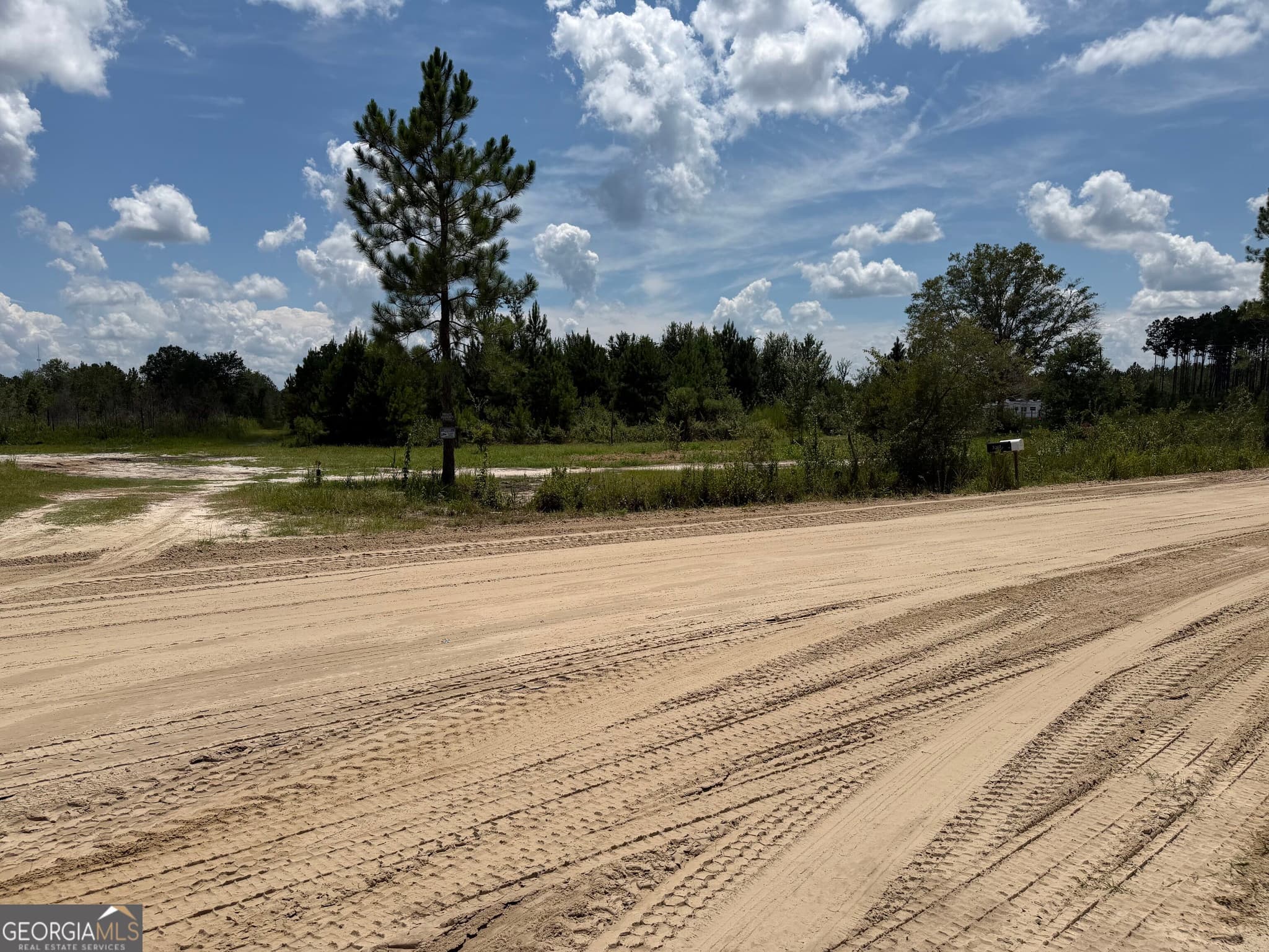 unimproved land for sale at 2.67 Wadley Road, Waycross, GA 31503 — photo 4