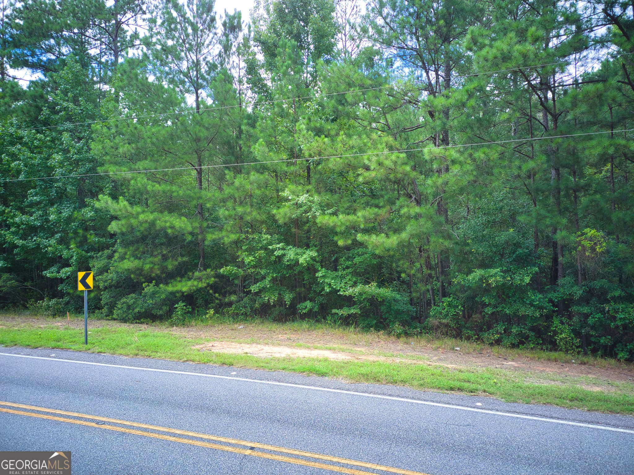 residential lot for sale at 0 PARCEL 200 Judge Brown Road, Valley, AL 36854 — photo 4