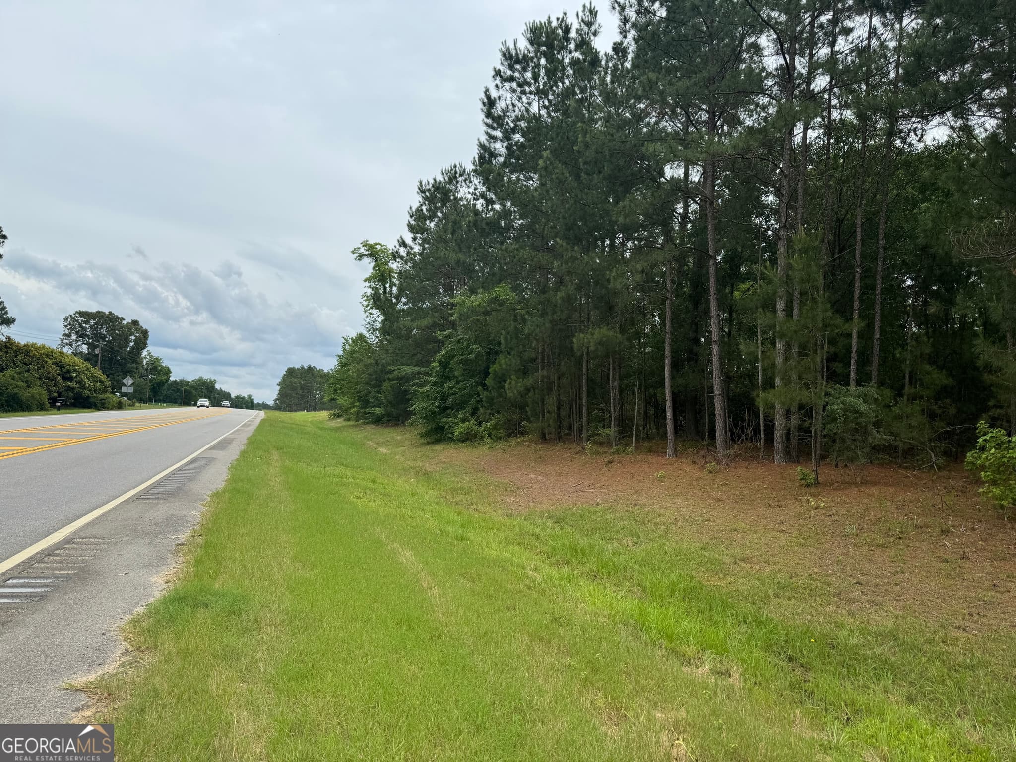 agriculture sold at 0 Highway 80, Portal, GA 30450