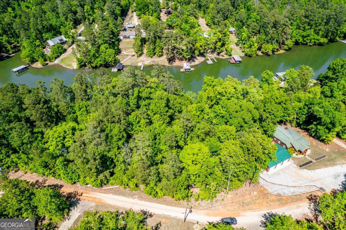 residential lot for sale at 276 Sinclair Bluff Drive, Sparta, GA 31087 — photo 9