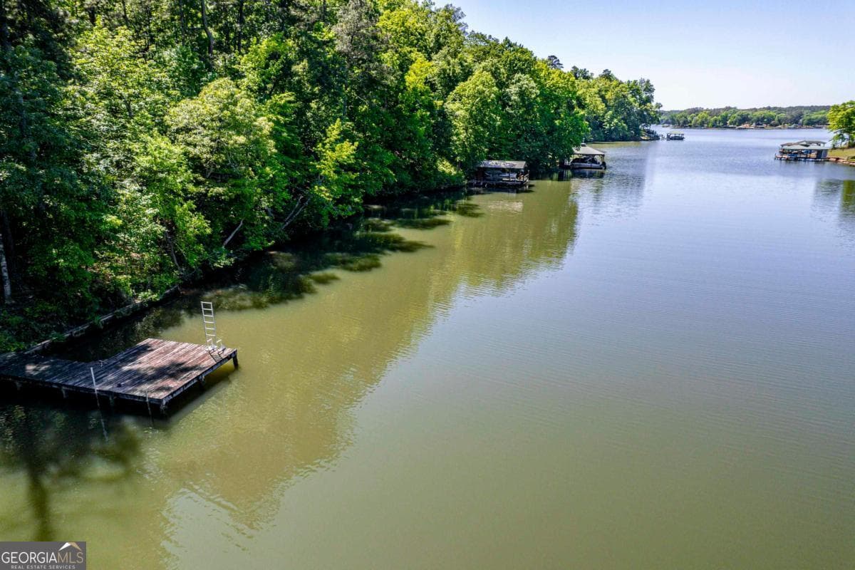 residential lot for sale at 276 Sinclair Bluff Drive, Sparta, GA 31087 — photo 8