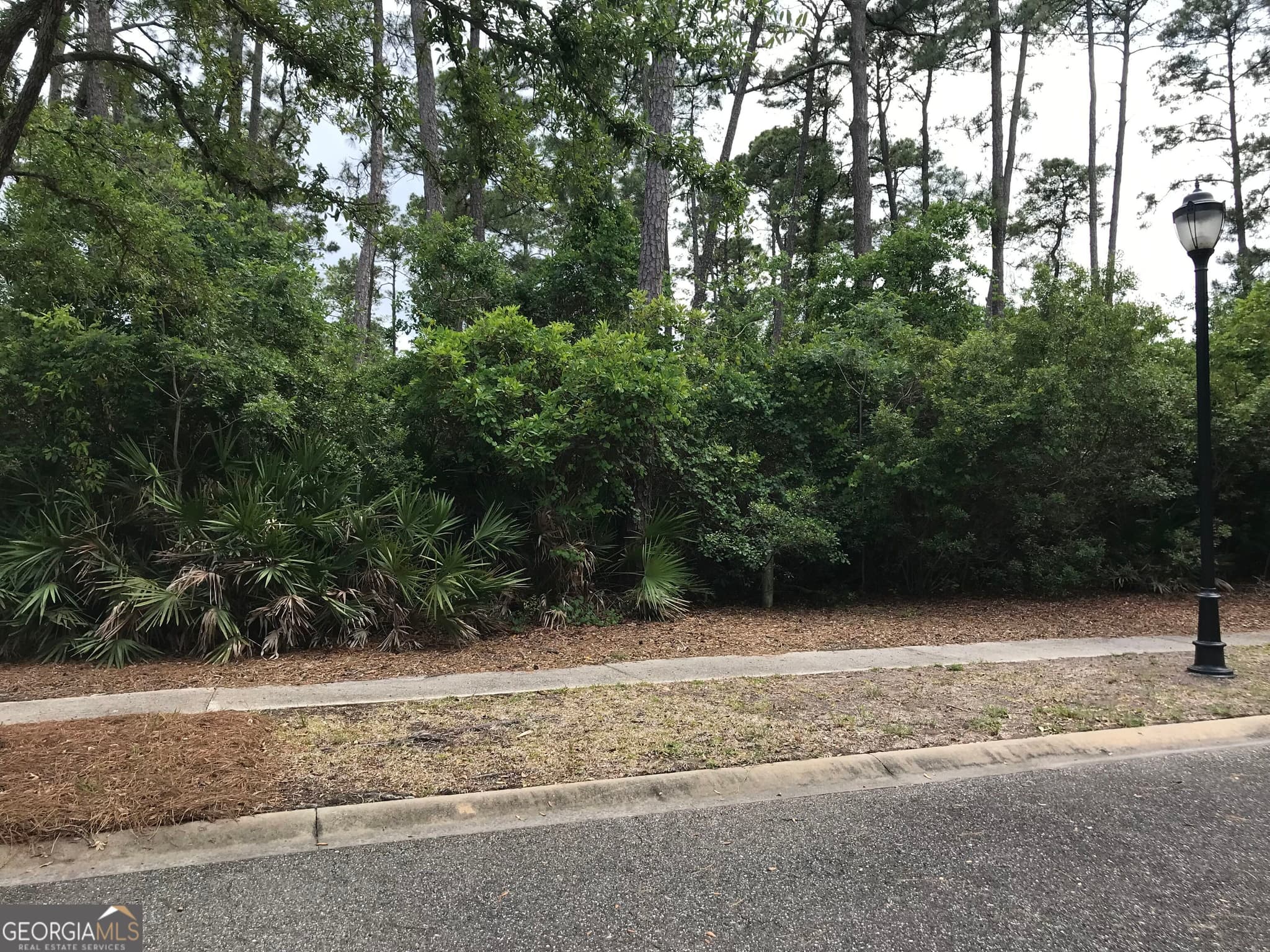 residential lot for sale at LOT 312 Charleston Way, St. Marys, GA 31558 — photo 2