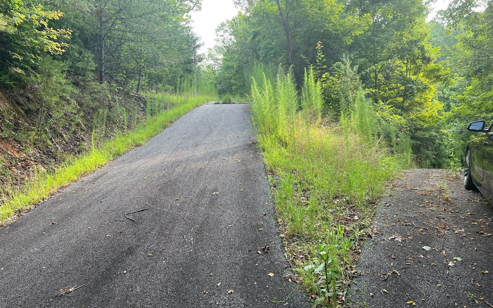 residential lot for sale at LOT 11 Preserve At Beach Mountain, Brasstown, NC 28902 — photo 2