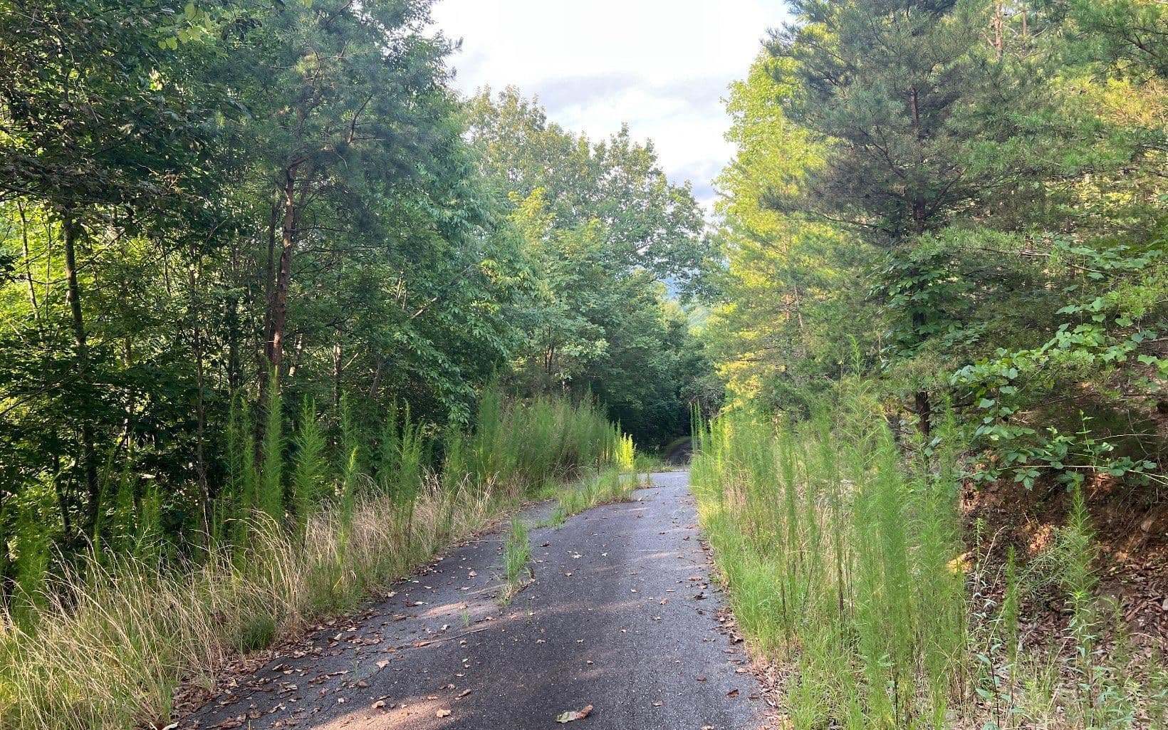 residential lot for sale at LOT 11 Preserve At Beach Mountain, Brasstown, NC 28902 — photo 6