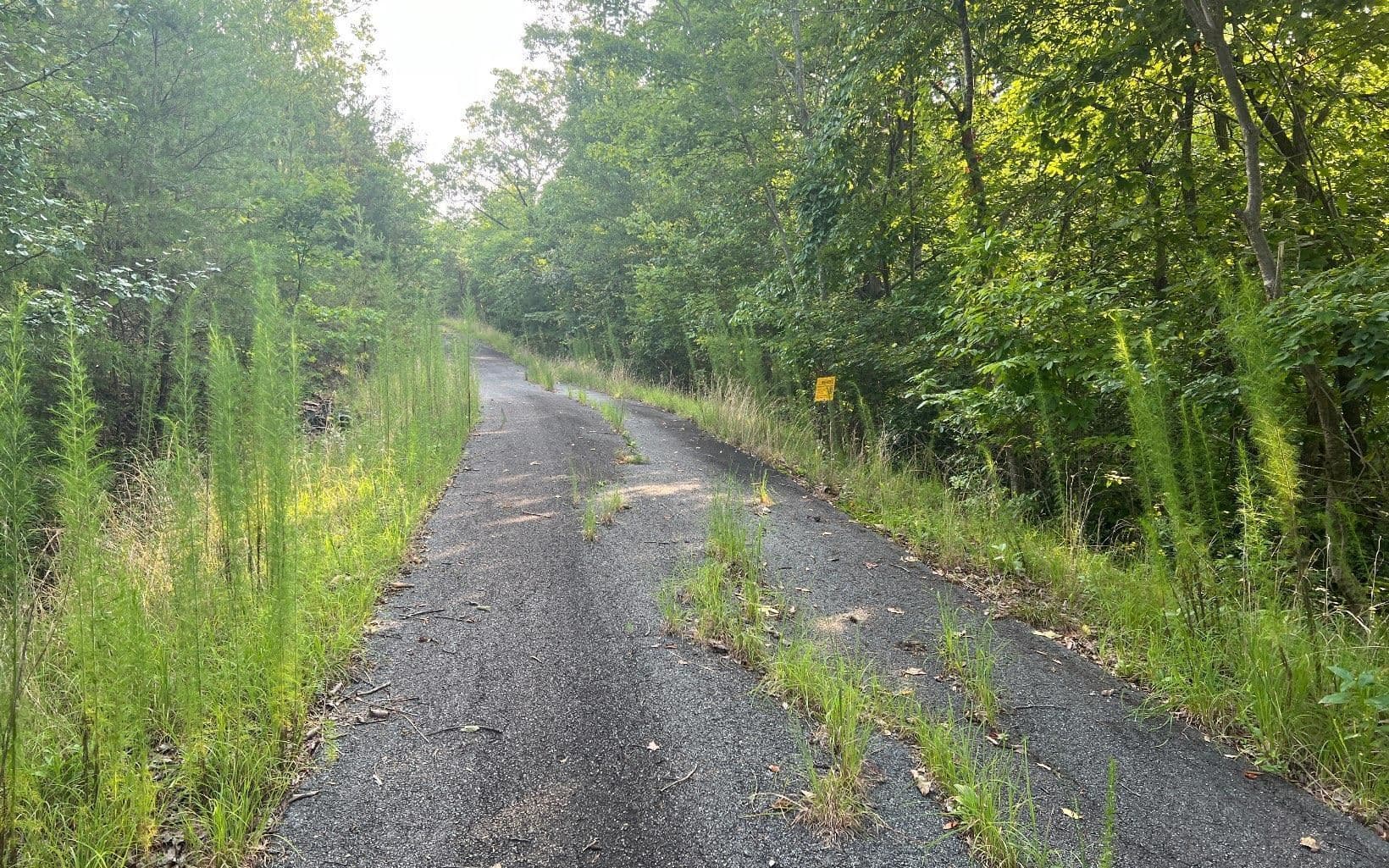 residential lot for sale at LOT 11 Preserve At Beach Mountain, Brasstown, NC 28902 — photo 7
