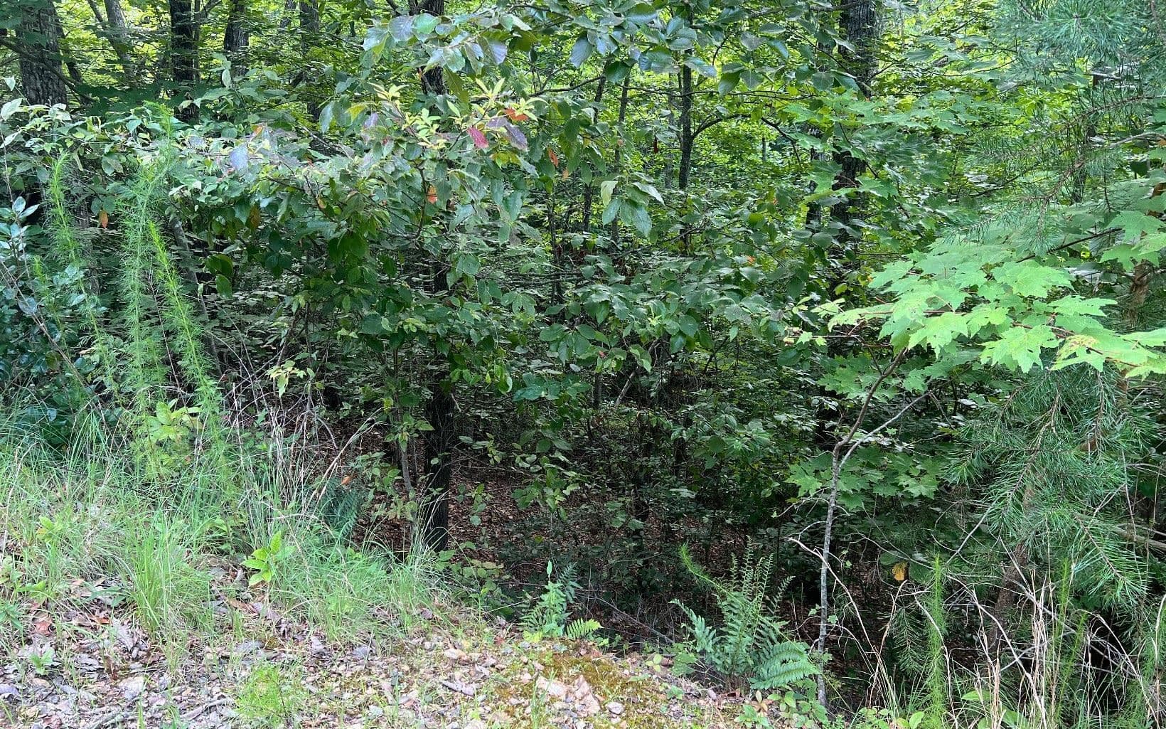 residential lot for sale at LOT 11 Preserve At Beach Mountain, Brasstown, NC 28902 — photo 3