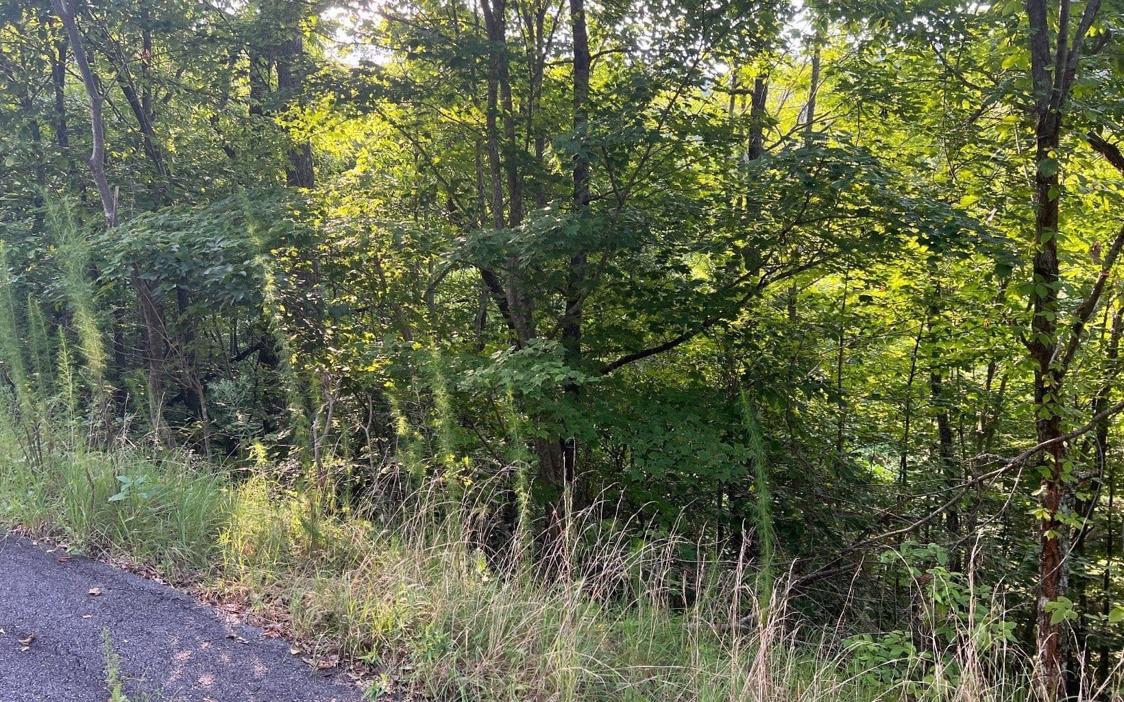 residential lot for sale at LOT 11 Preserve At Beach Mountain, Brasstown, NC 28902 — photo 5