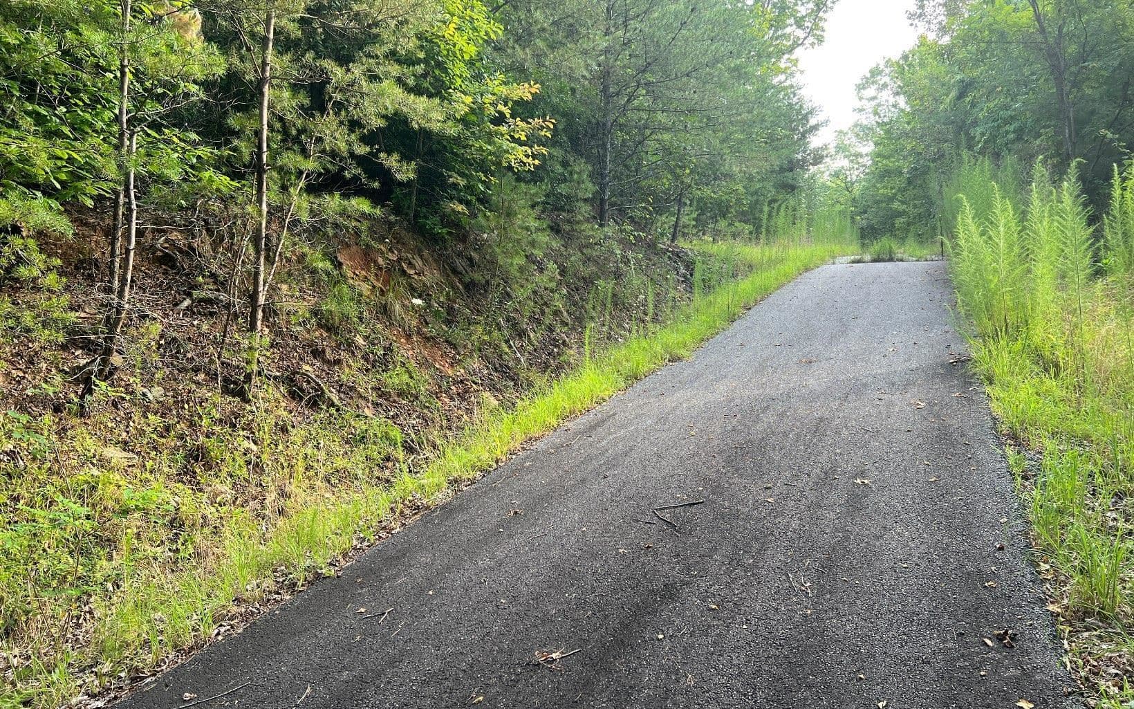 residential lot for sale at LOT 11 Preserve At Beach Mountain, Brasstown, NC 28902 — photo 4