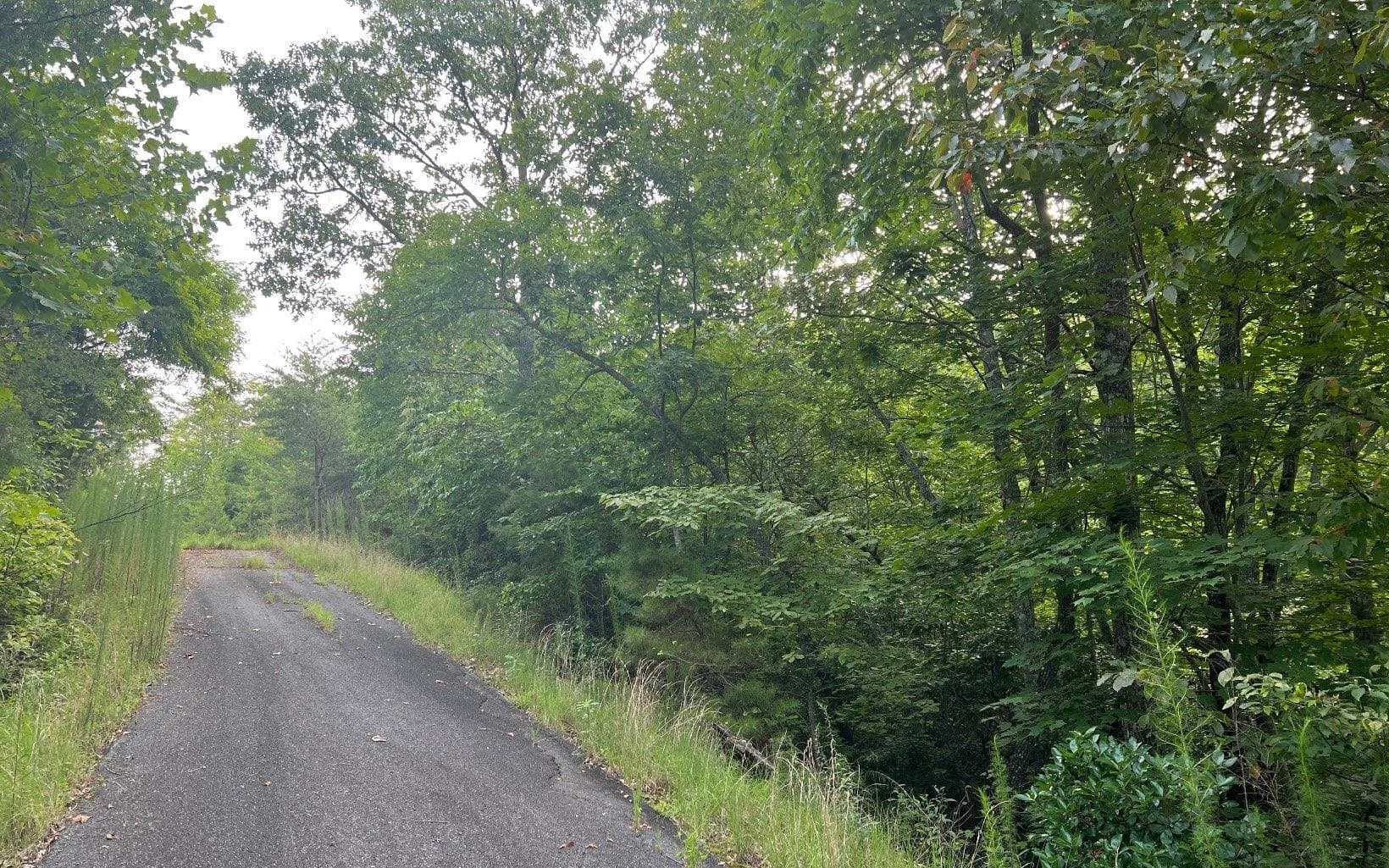 residential lot for sale at LOT 11 Preserve At Beach Mountain, Brasstown, NC 28902 — photo 8