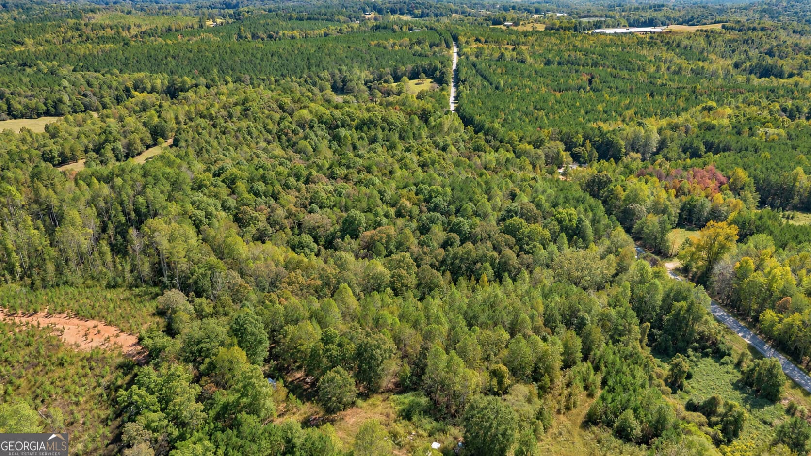 residential lot for sale at TRACT 2 Lees Bridge Road, Delta, AL 36258 — photo 6
