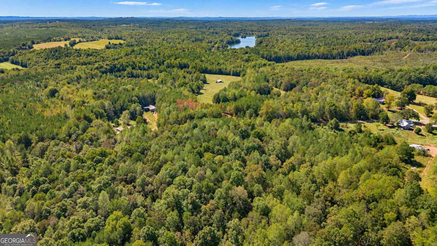 residential lot for sale at TRACT 2 Lees Bridge Road, Delta, AL 36258 — photo 7