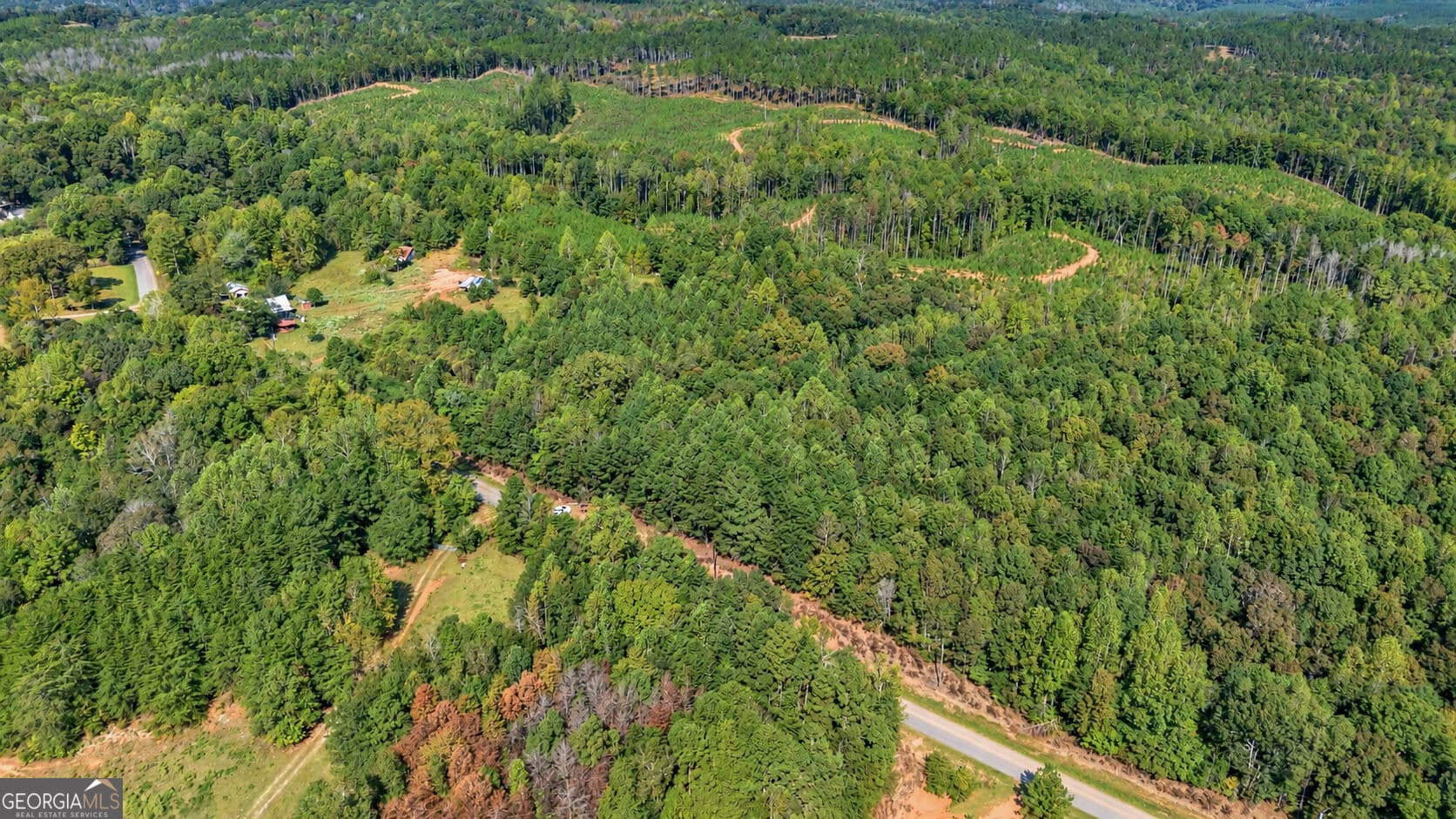residential lot for sale at TRACT 2 Lees Bridge Road, Delta, AL 36258 — photo 3