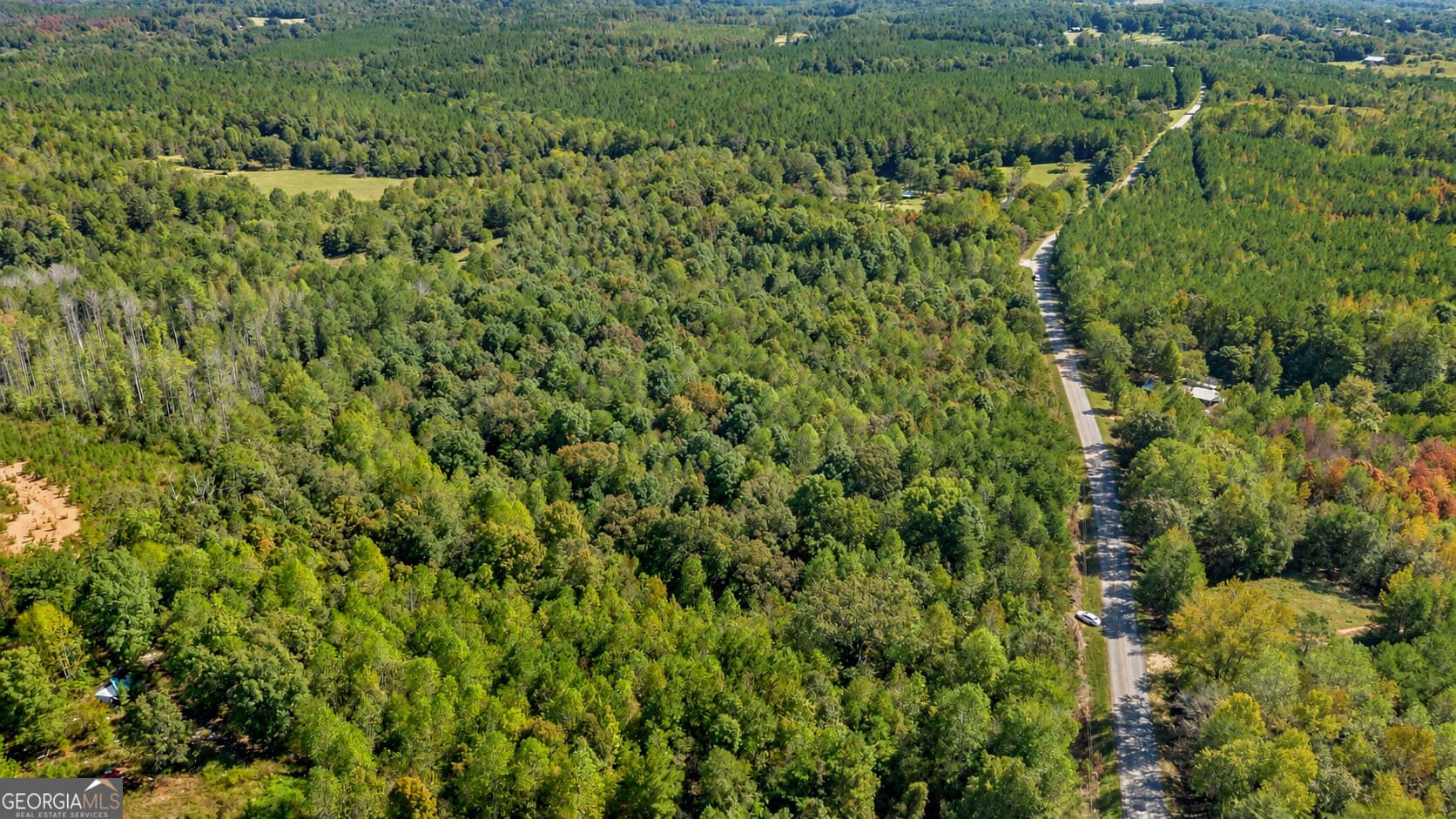 residential lot for sale at TRACT 2 Lees Bridge Road, Delta, AL 36258 — photo 5