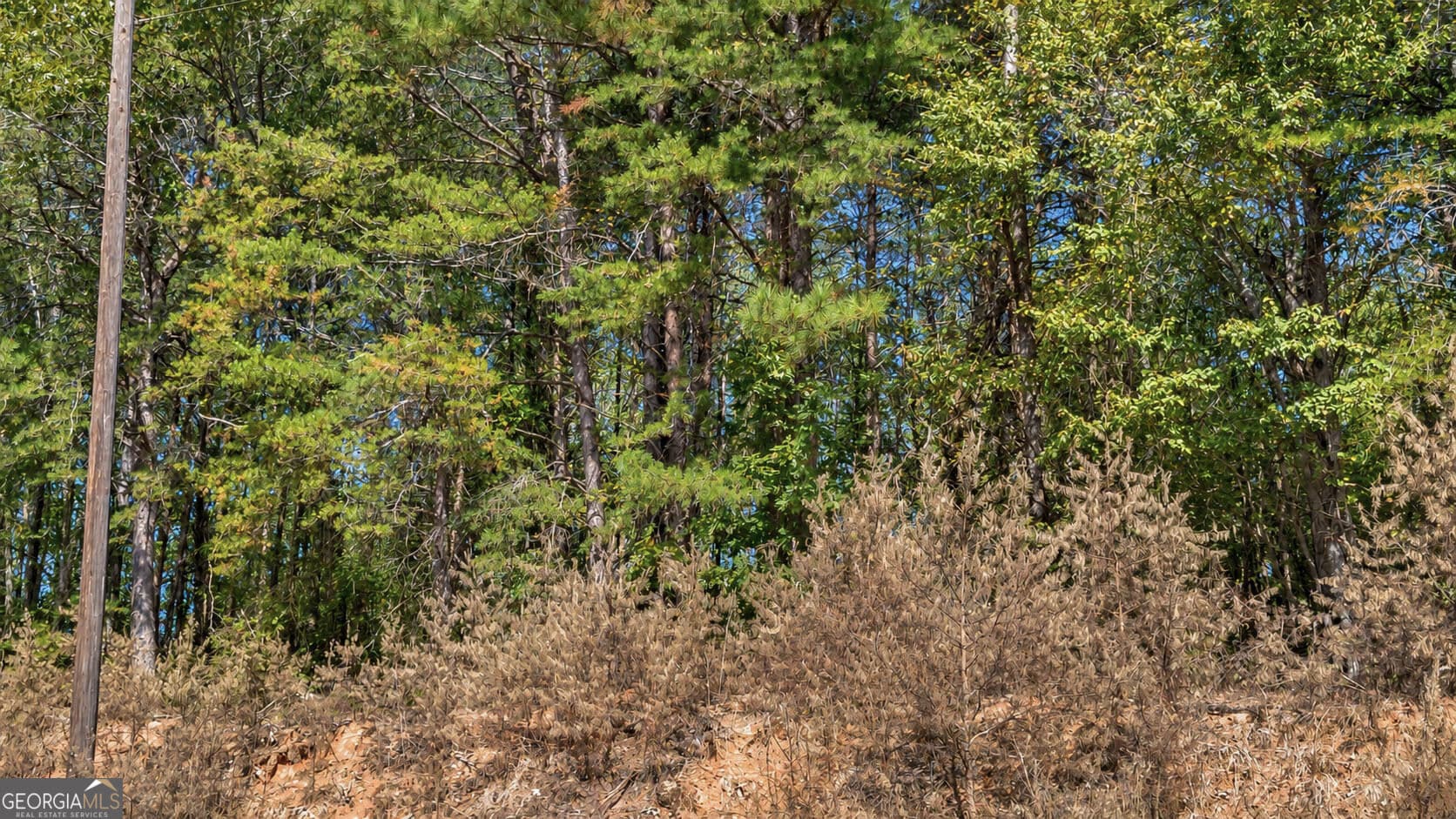 residential lot for sale at TRACT 2 Lees Bridge Road, Delta, AL 36258 — photo 9