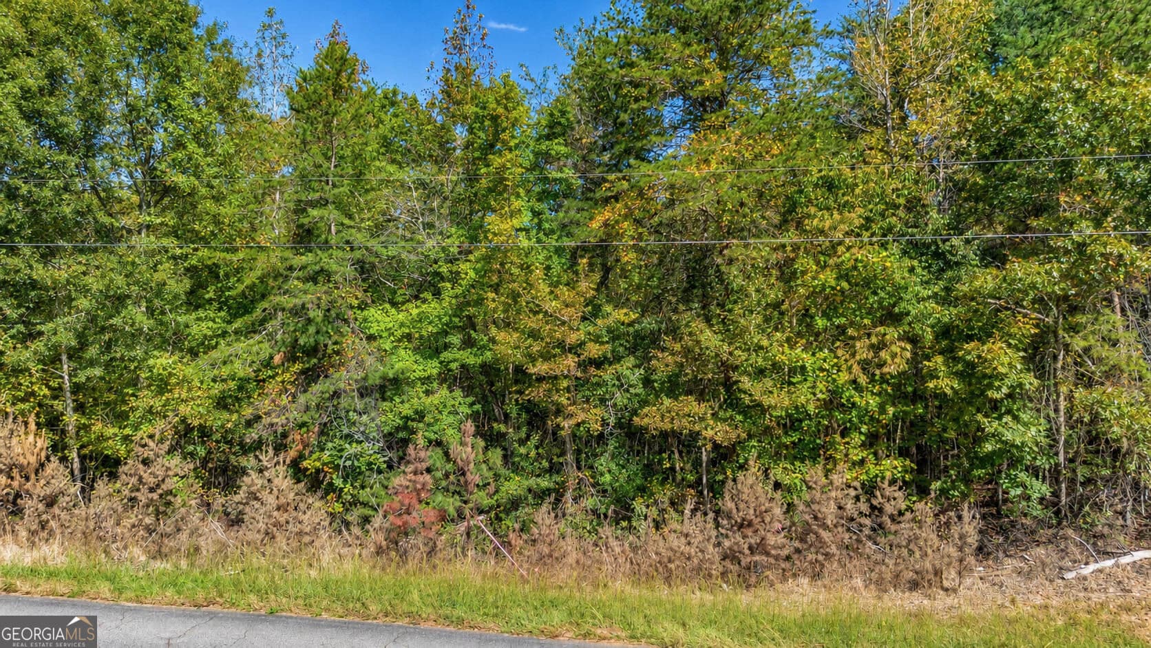 residential lot for sale at TRACT 2 Lees Bridge Road, Delta, AL 36258 — photo 10