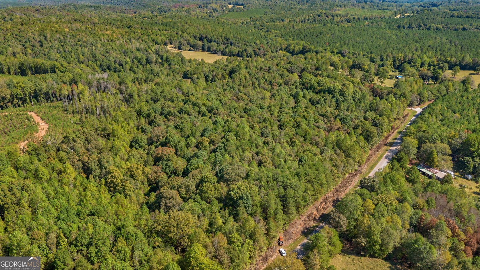 residential lot for sale at TRACT 2 Lees Bridge Road, Delta, AL 36258 — photo 4