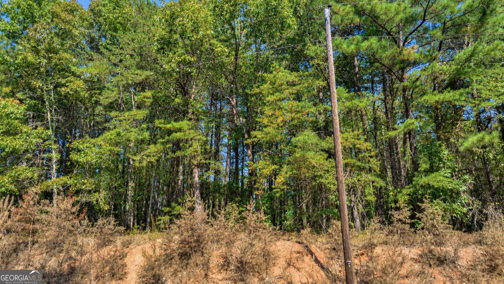 residential lot for sale at TRACT 2 Lees Bridge Road, Delta, AL 36258 — photo 8
