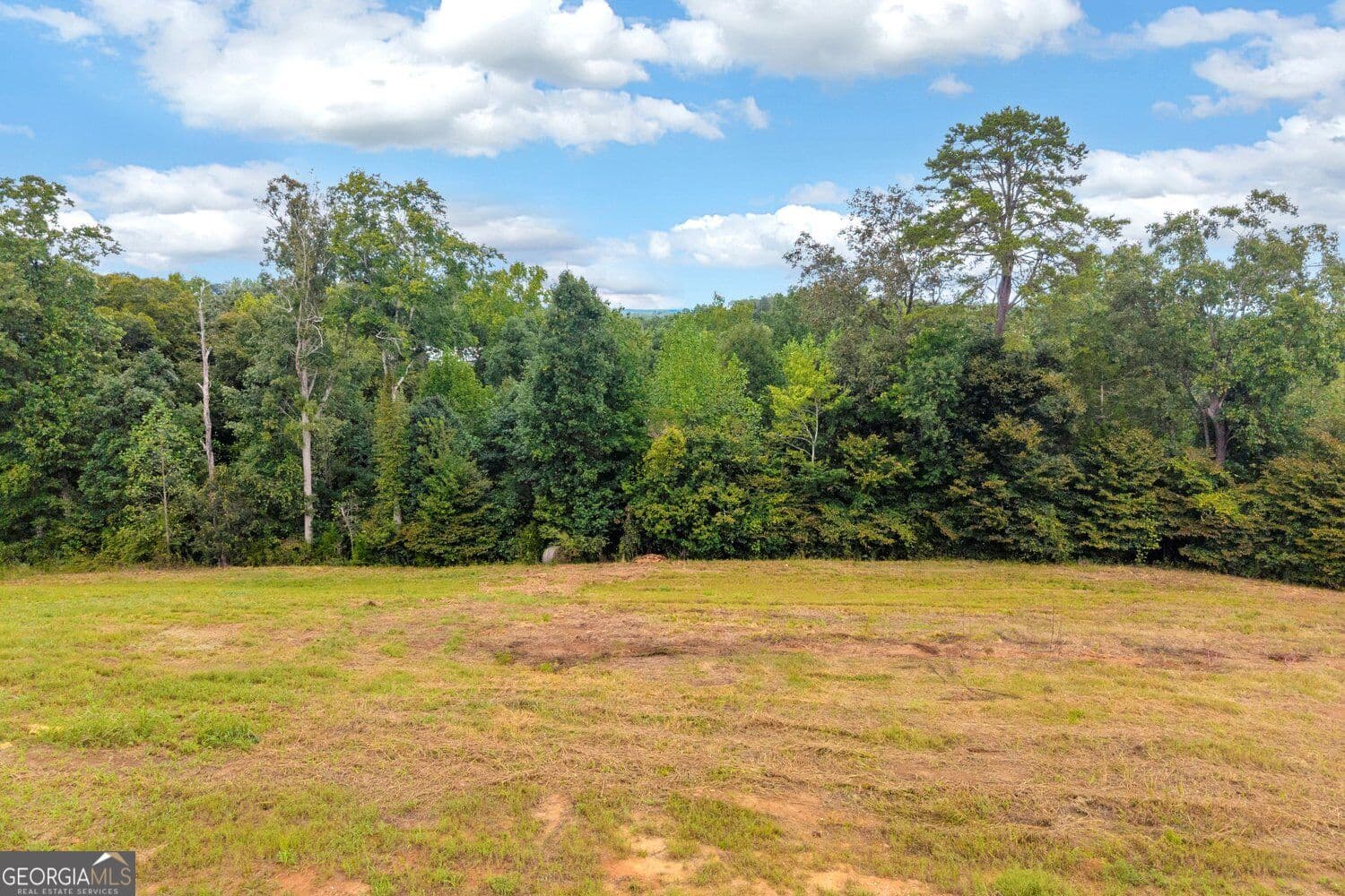 3 bedroom, 2 bathroom, 1,516 sq ft single family residence for sale at 653 Racetrack Road, Toccoa, GA 30577 — photo 6