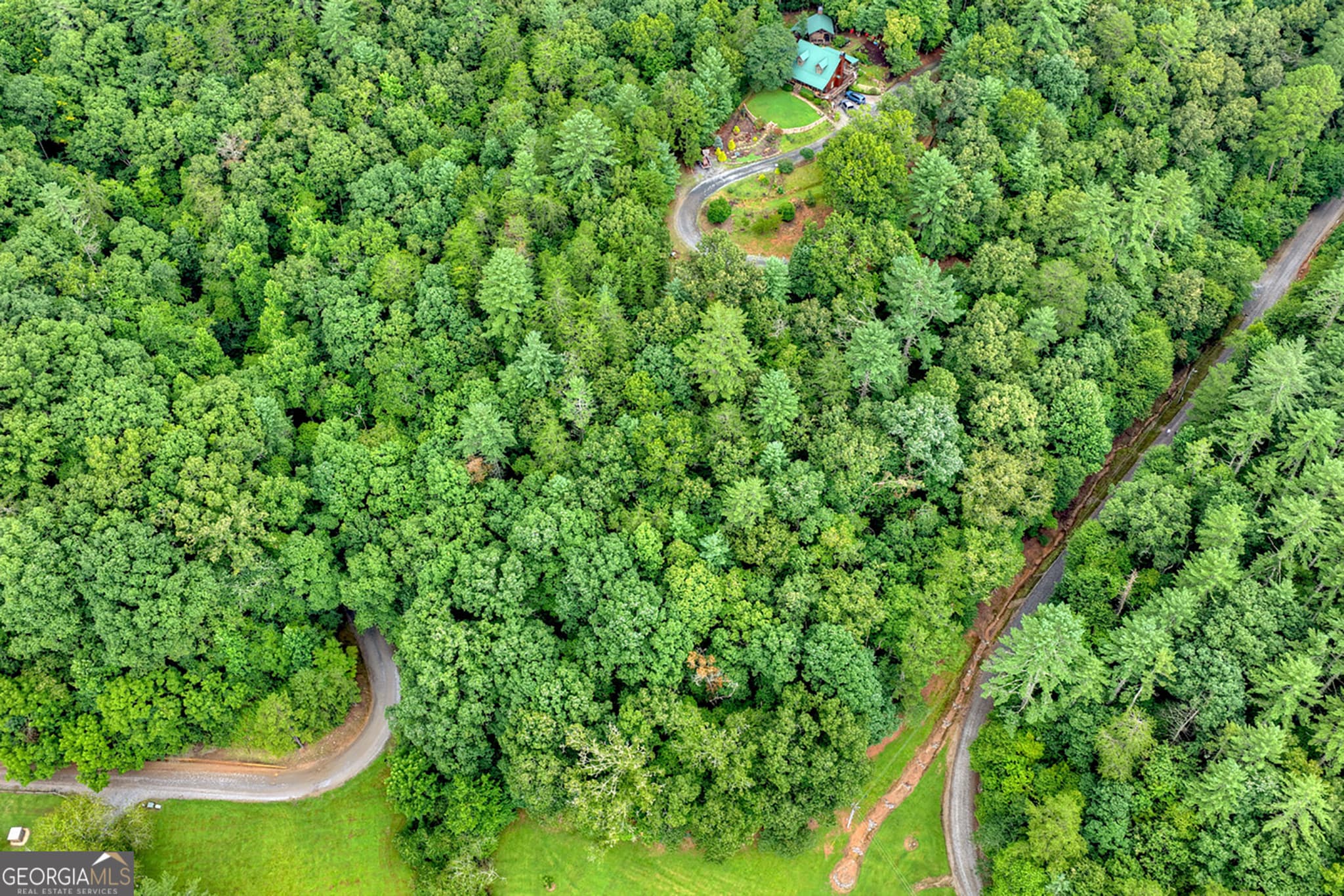 unimproved land for sale at LOT 5B Toccoa River Forest, Mineral Bluff, GA 30559 — photo 3