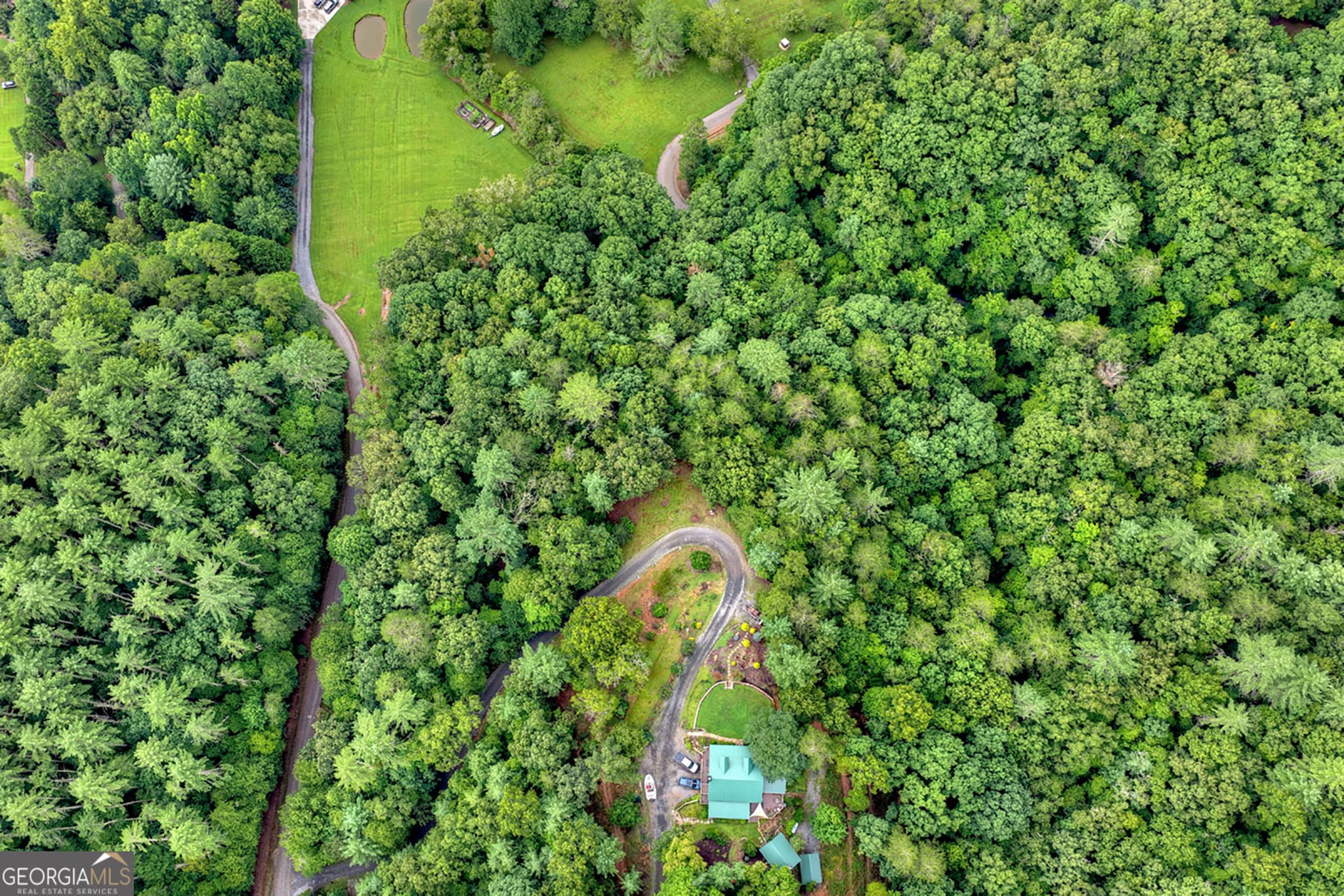 unimproved land for sale at LOT 5B Toccoa River Forest, Mineral Bluff, GA 30559 — photo 10