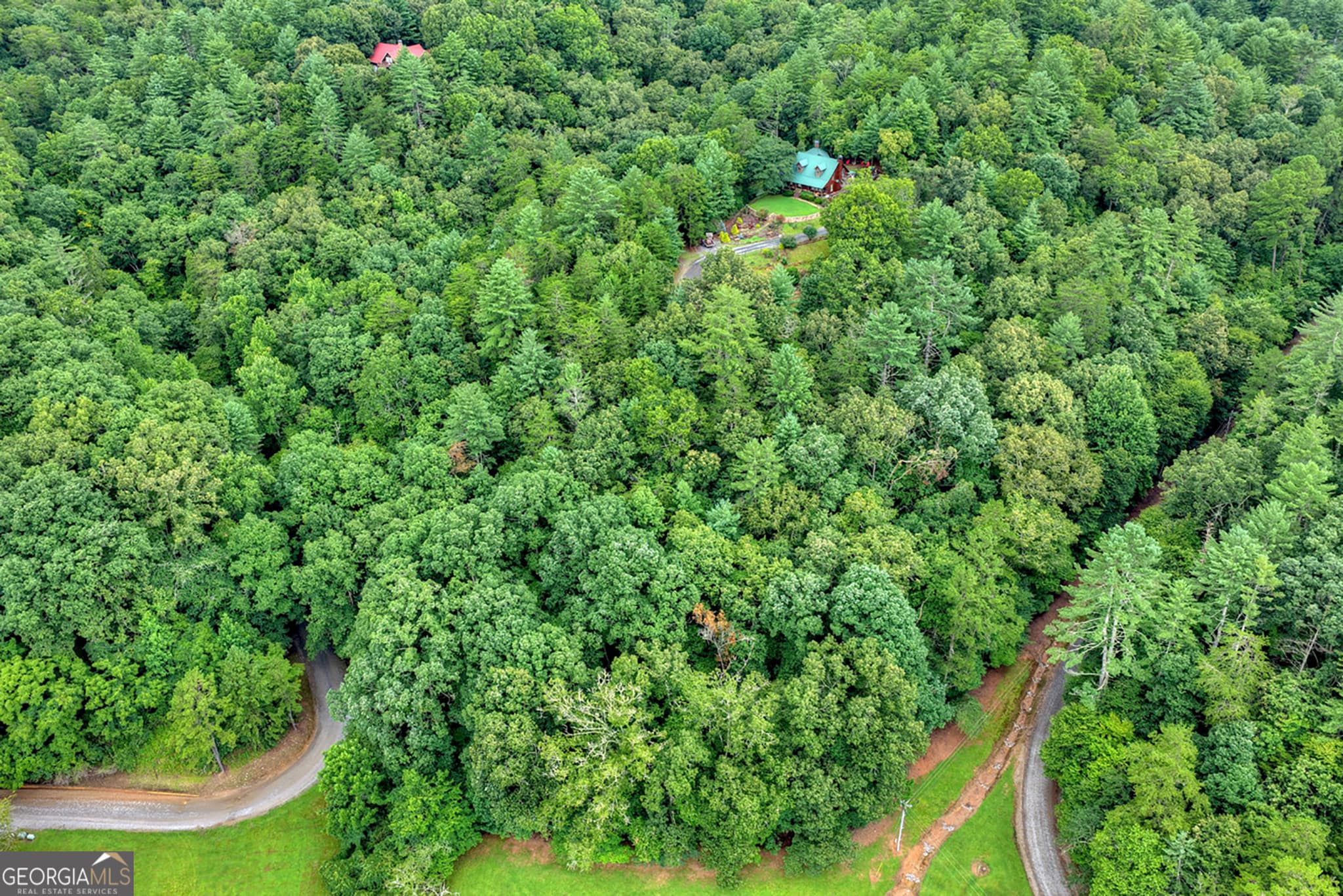 unimproved land for sale at LOT 5B Toccoa River Forest, Mineral Bluff, GA 30559 — photo 4